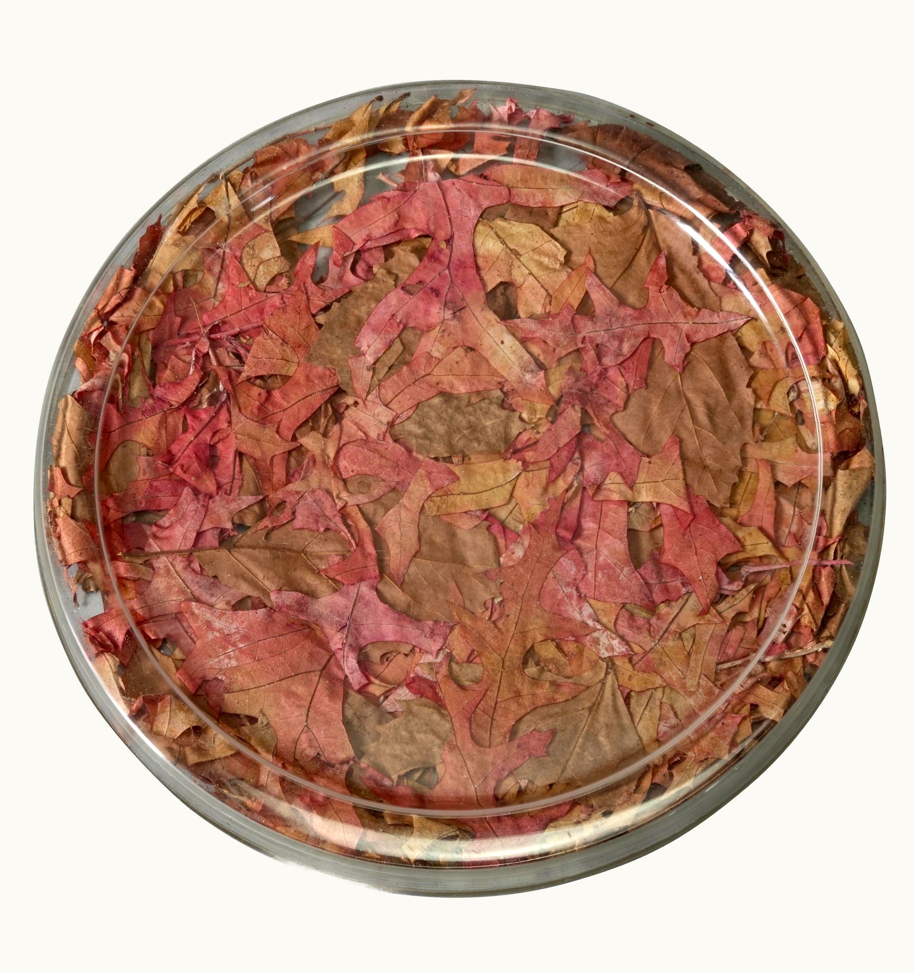 Dior Vintage 1970s Christian Dior Autumn Leaves Lucite Serving Tray