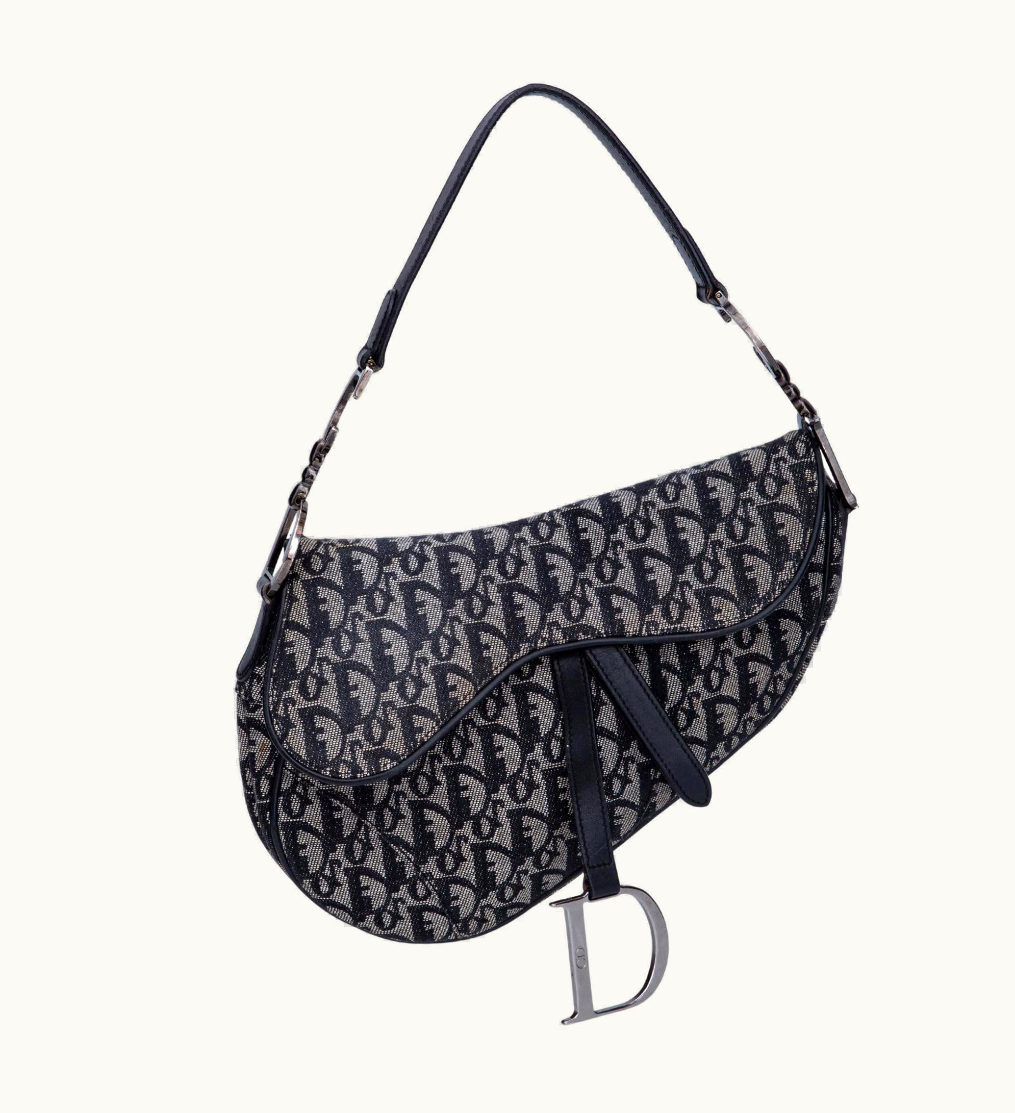 Dior Dior Vintage Oblique Trotter Saddle Bag (2002)