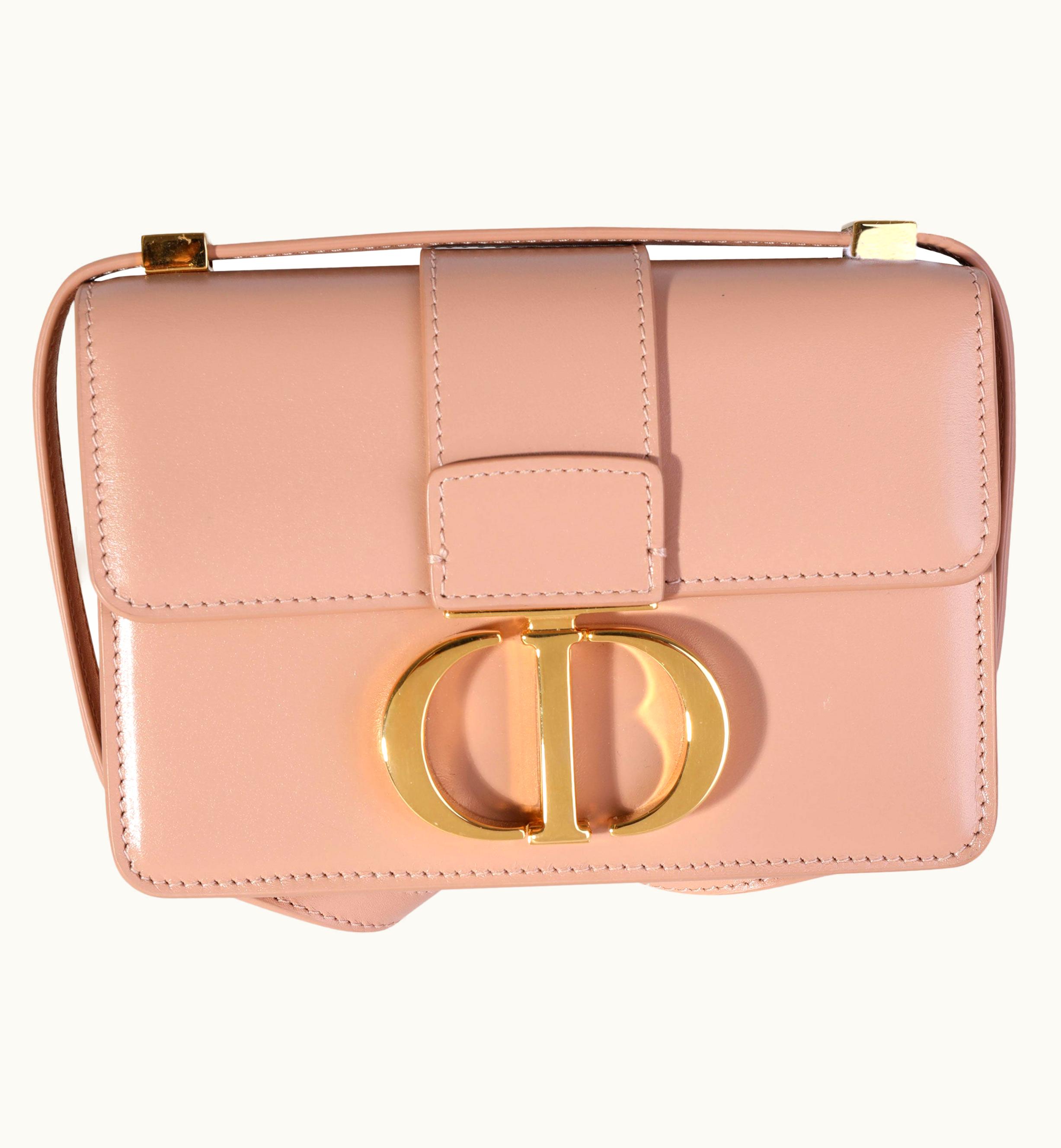 Dior Dior Rose Des Vents Calfskin 30 Montaigne Micro Bag UZ0569799