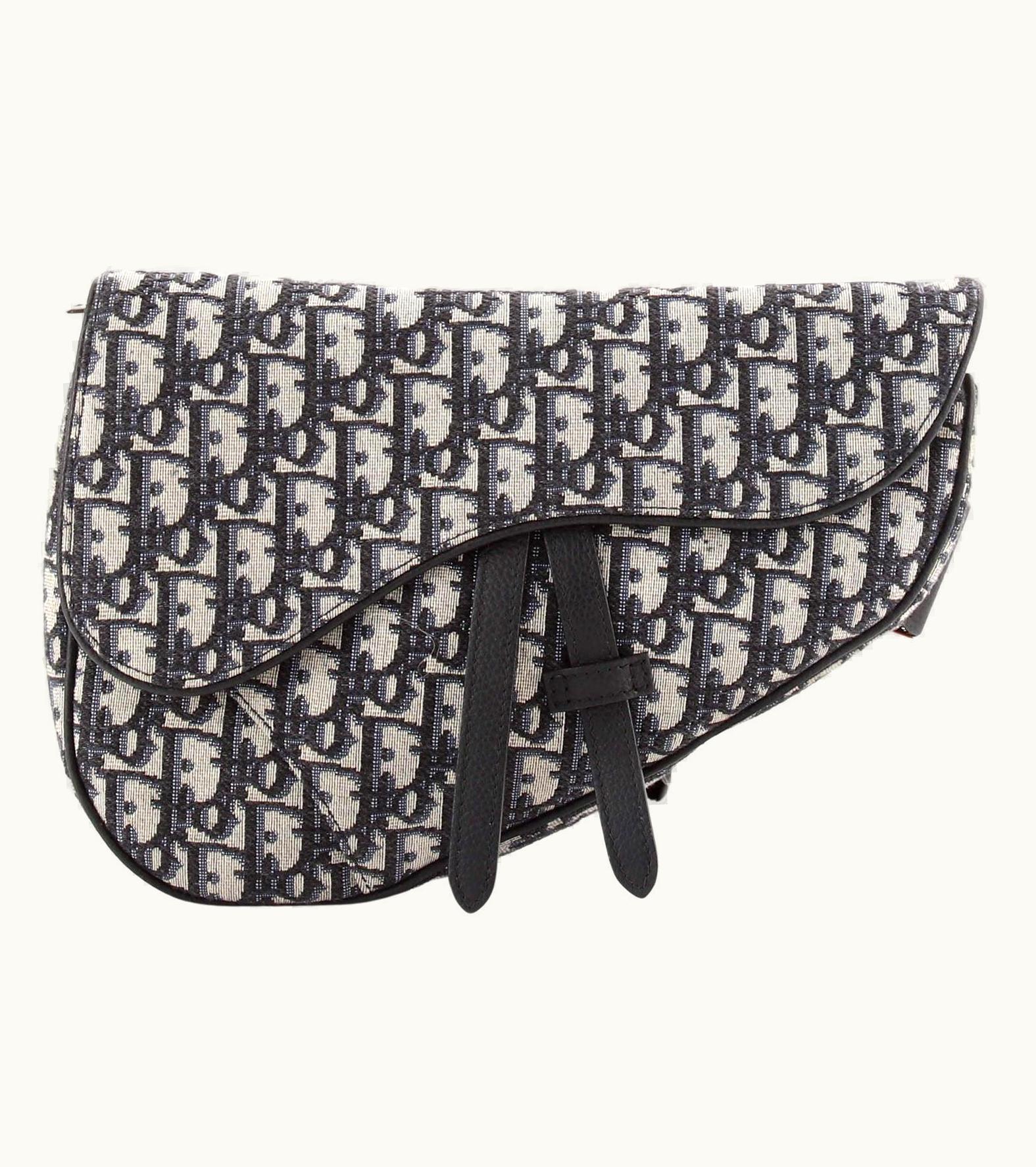 Dior Christian Dior Saddle Crossbody Bag Oblique Canvas