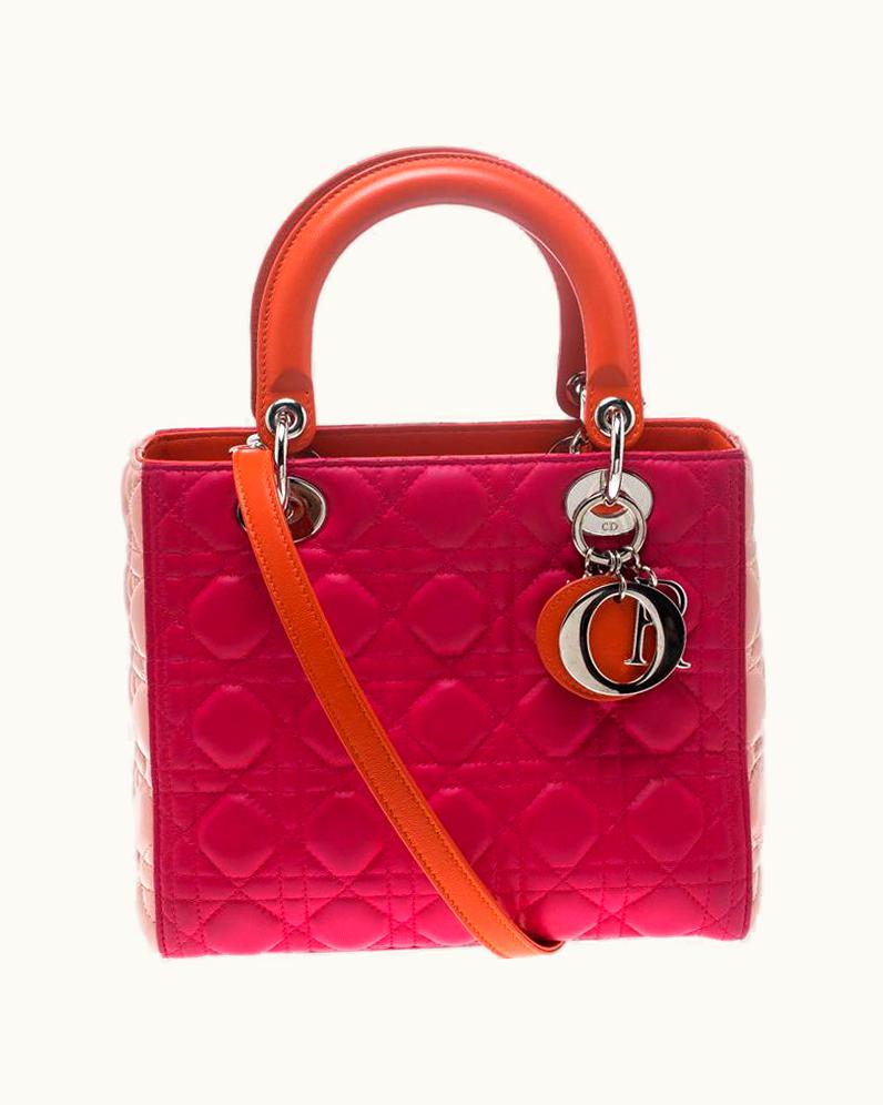 Dior Dior Multicolor Leather Medium Lady Dior Tote