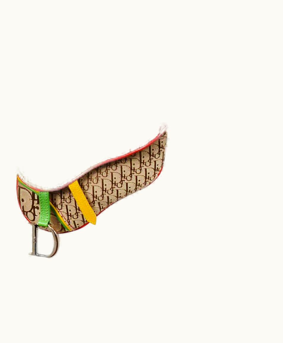 Dior Vintage Christian Dior 2004 Rasta Mini Saddle Waist Bag