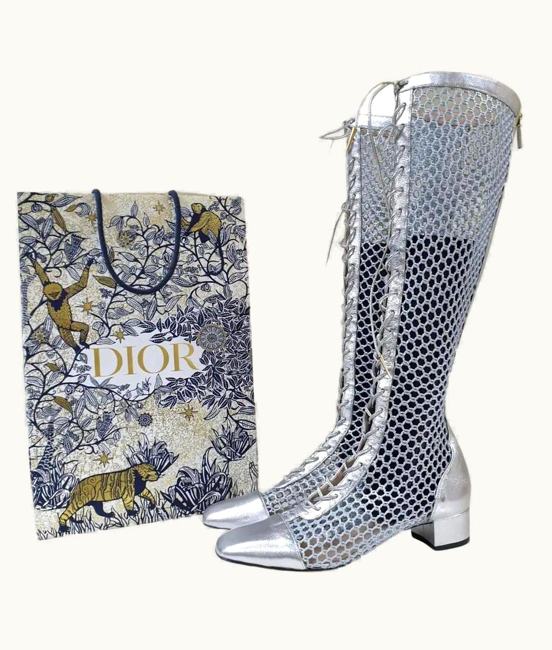Dior Christian Dior Metallic Silver 2018 Naughtily-d Fishnet