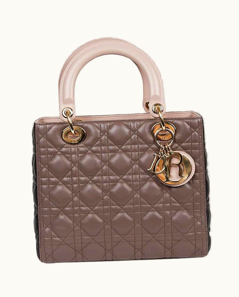 Dior Lady Dior Tricolor Bag