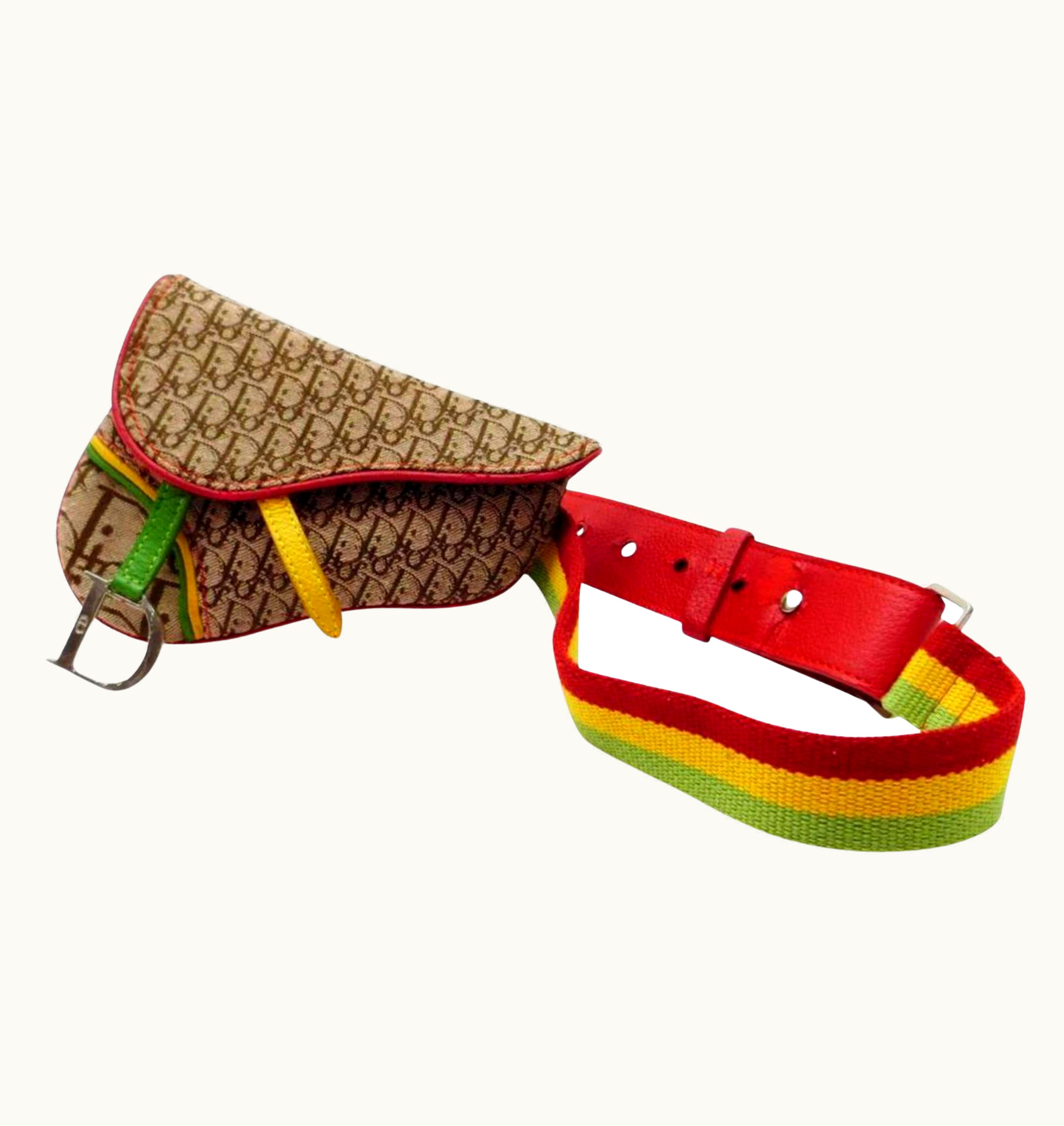 Dior Monogram Trotter Rasta Waist Pouch Bumbag