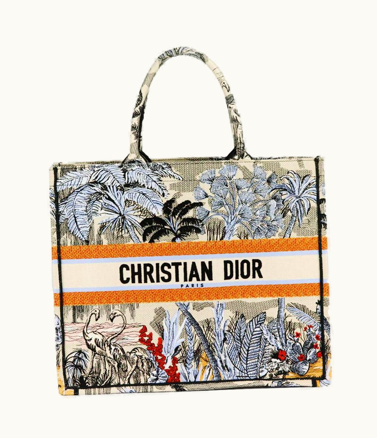 Dior Christian Dior 2019 Large Embroidered Canvas Book Tote Bag