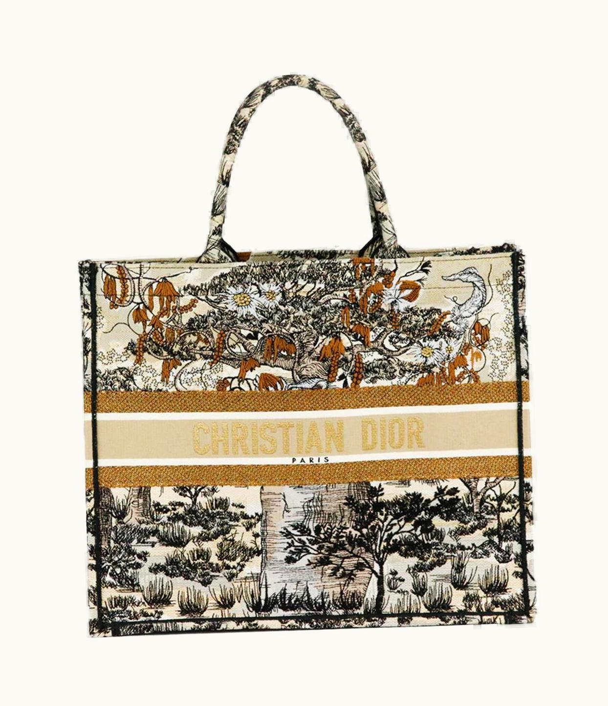 Dior Christian Dior Large Embroidered Book Tote Bag