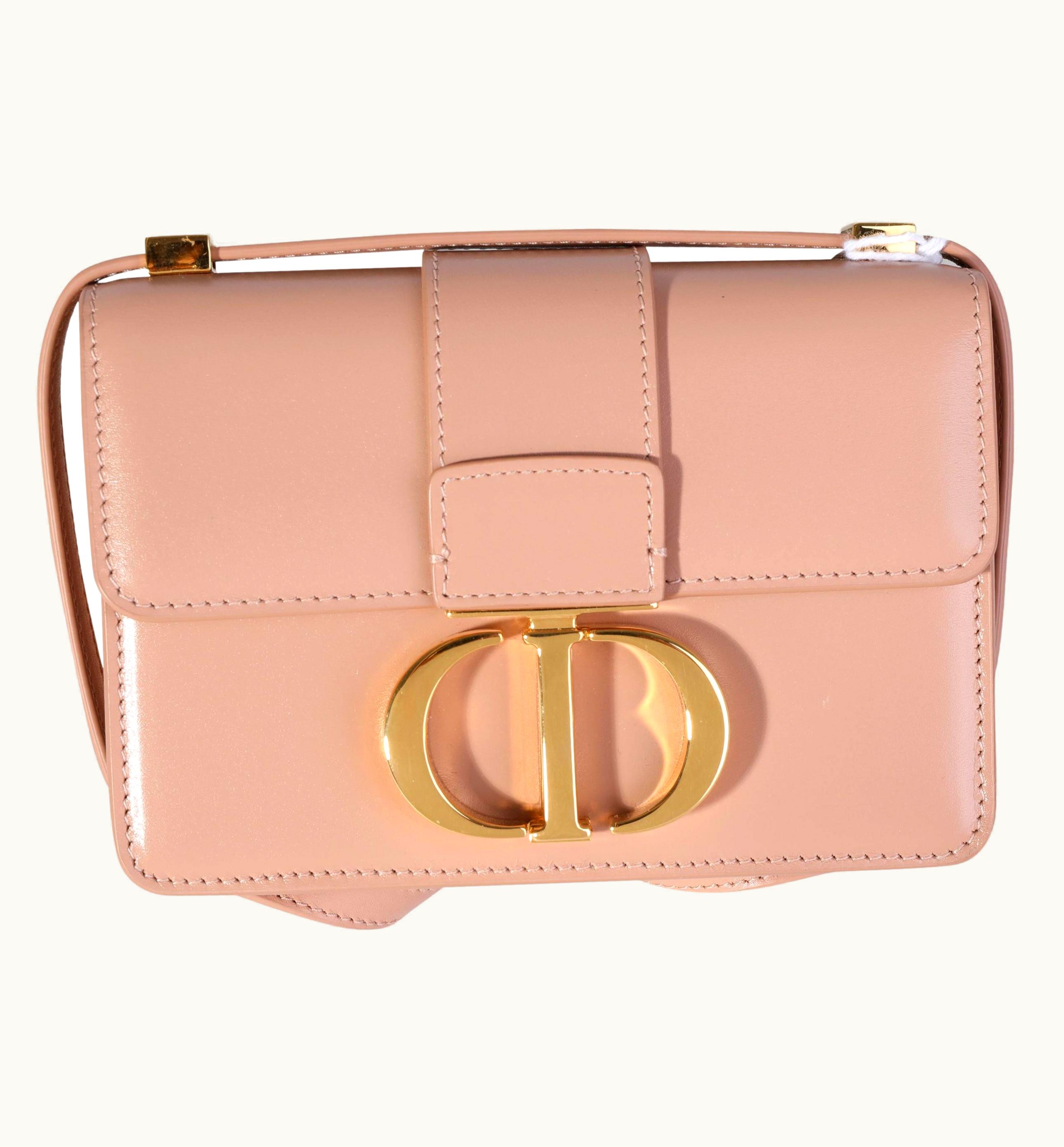 Dior Rose Des Vents Calfskin 30 Montaigne Micro Bag UZ0571607