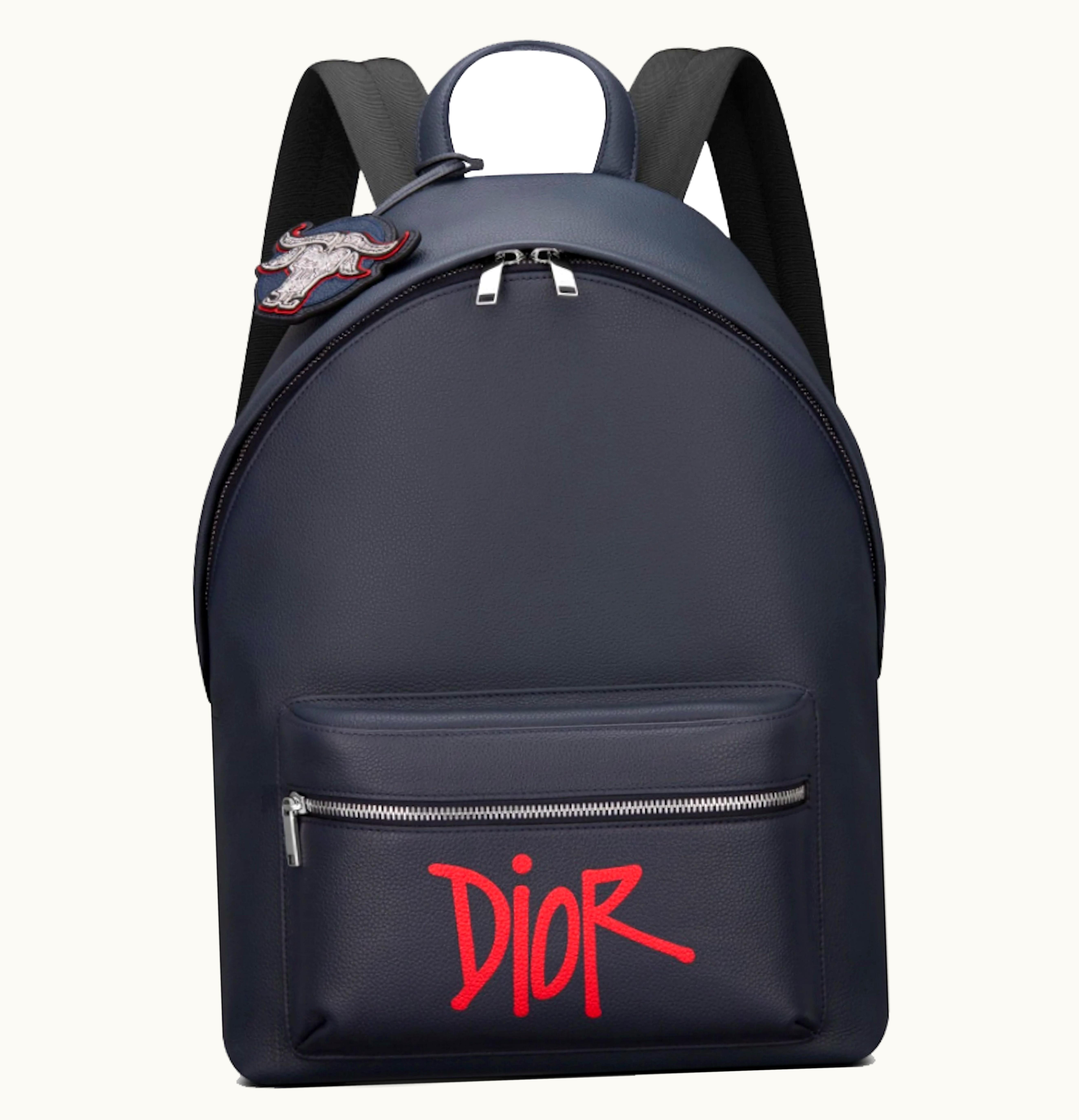 Dior Dior And Shawn Rider Backpack Navy