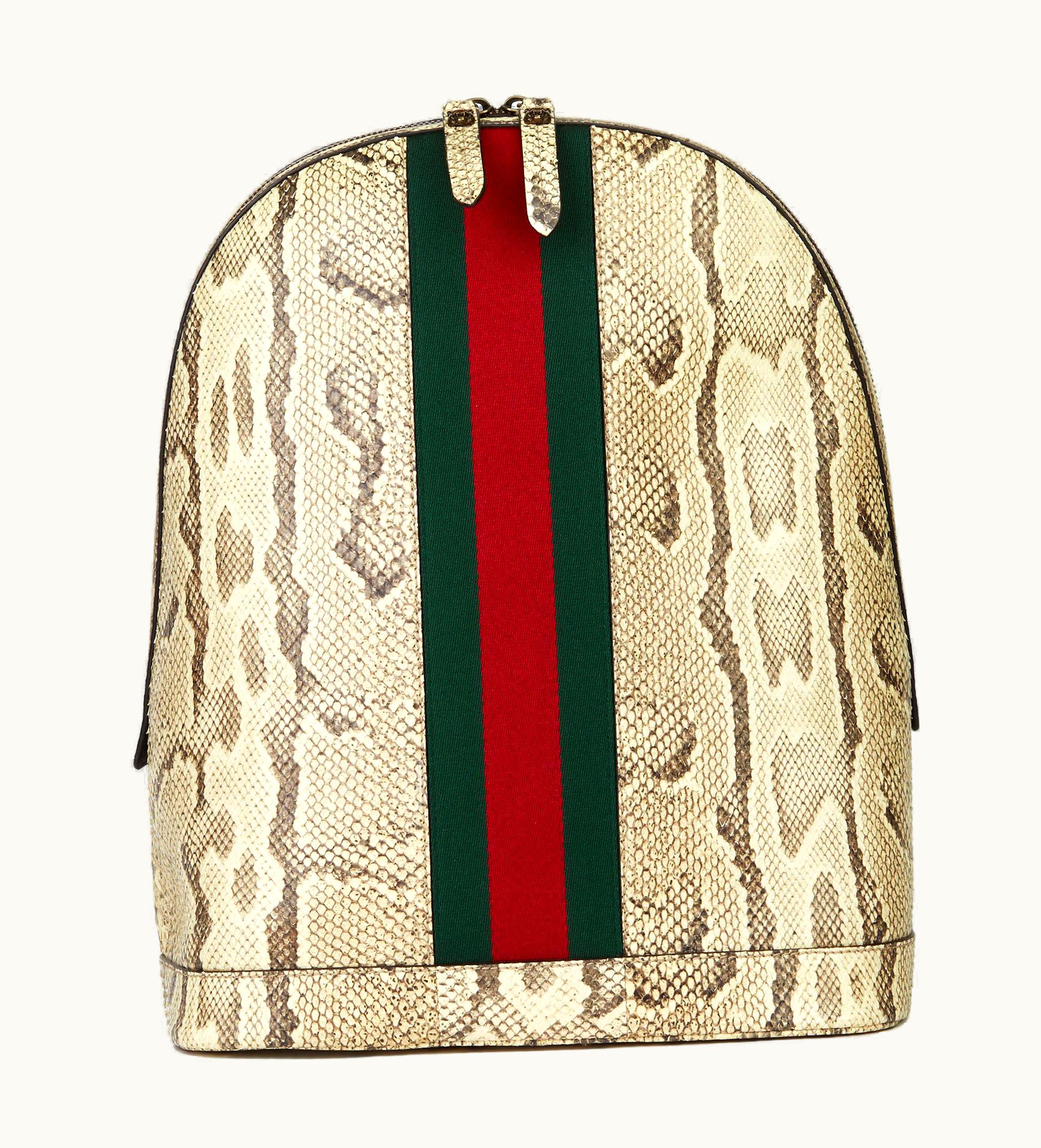 Gucci 2019 Gucci Natural Animalier Python Leather & Web Backpack UZ0575960