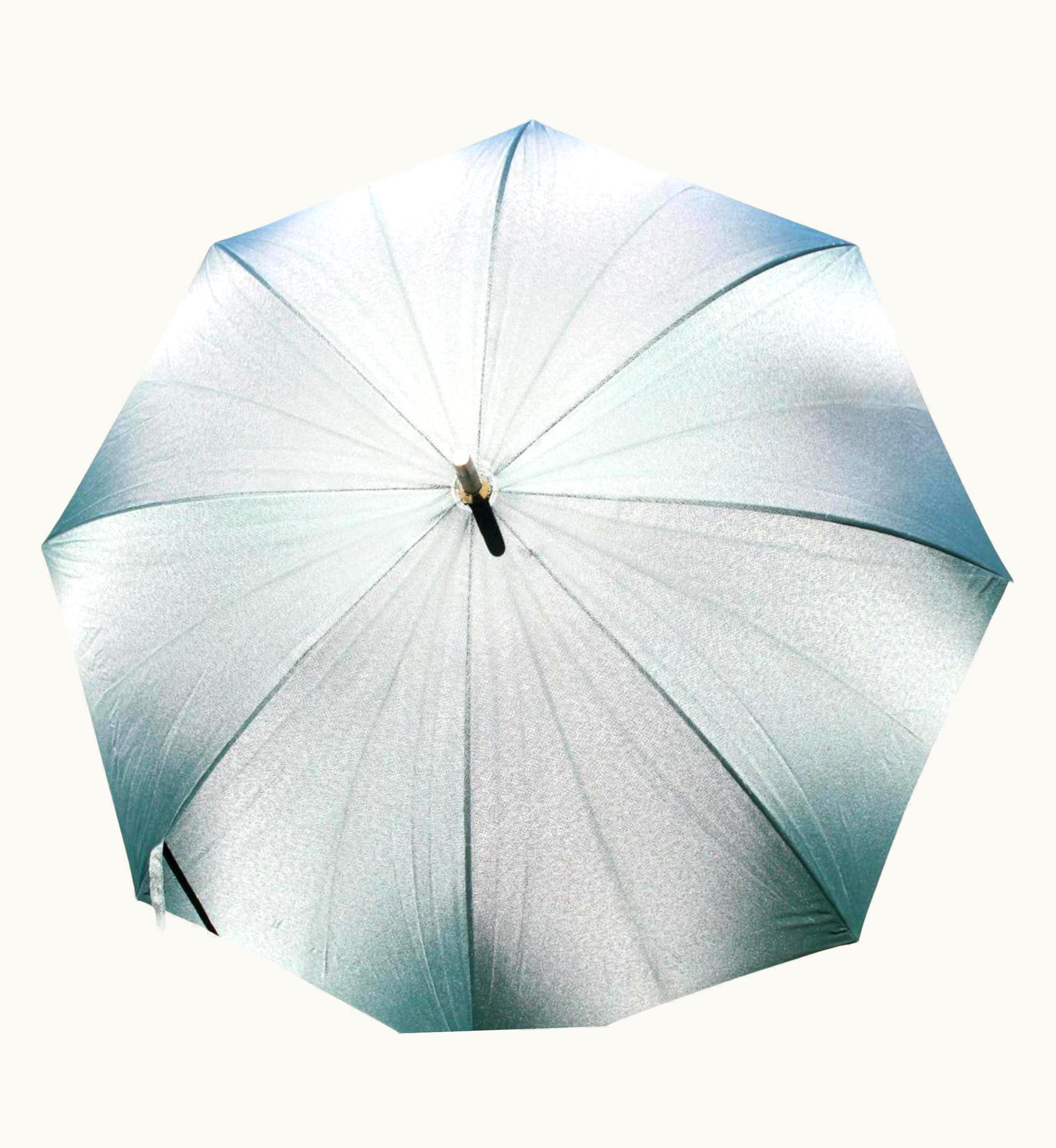 Louis Vuitton Louis Vuitton Green Umbrella 1020lv57
