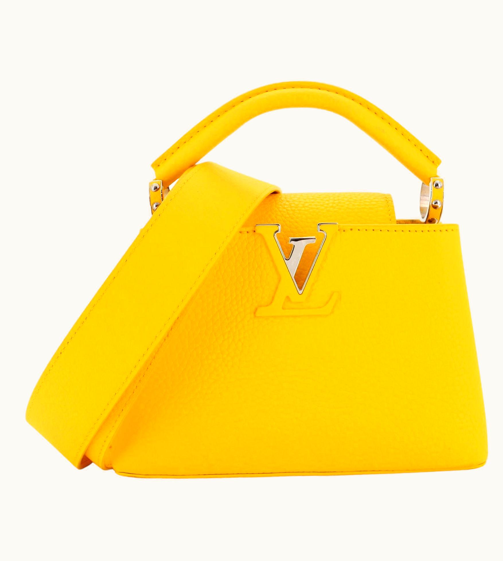 Louis Vuitton Louis Vuitton Capucines Bag Leather Mini UZ0580316