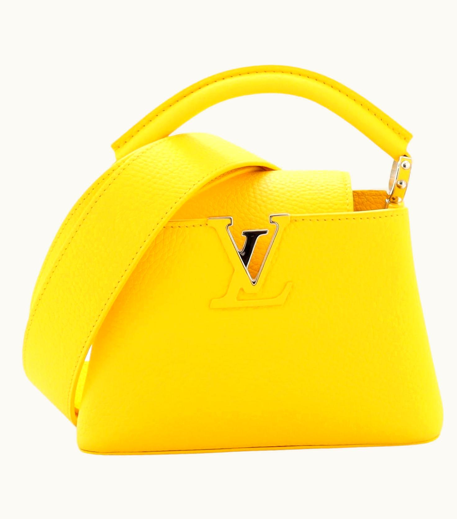 Louis Vuitton Louis Vuitton Capucines Bag Leather Mini UZ0580326