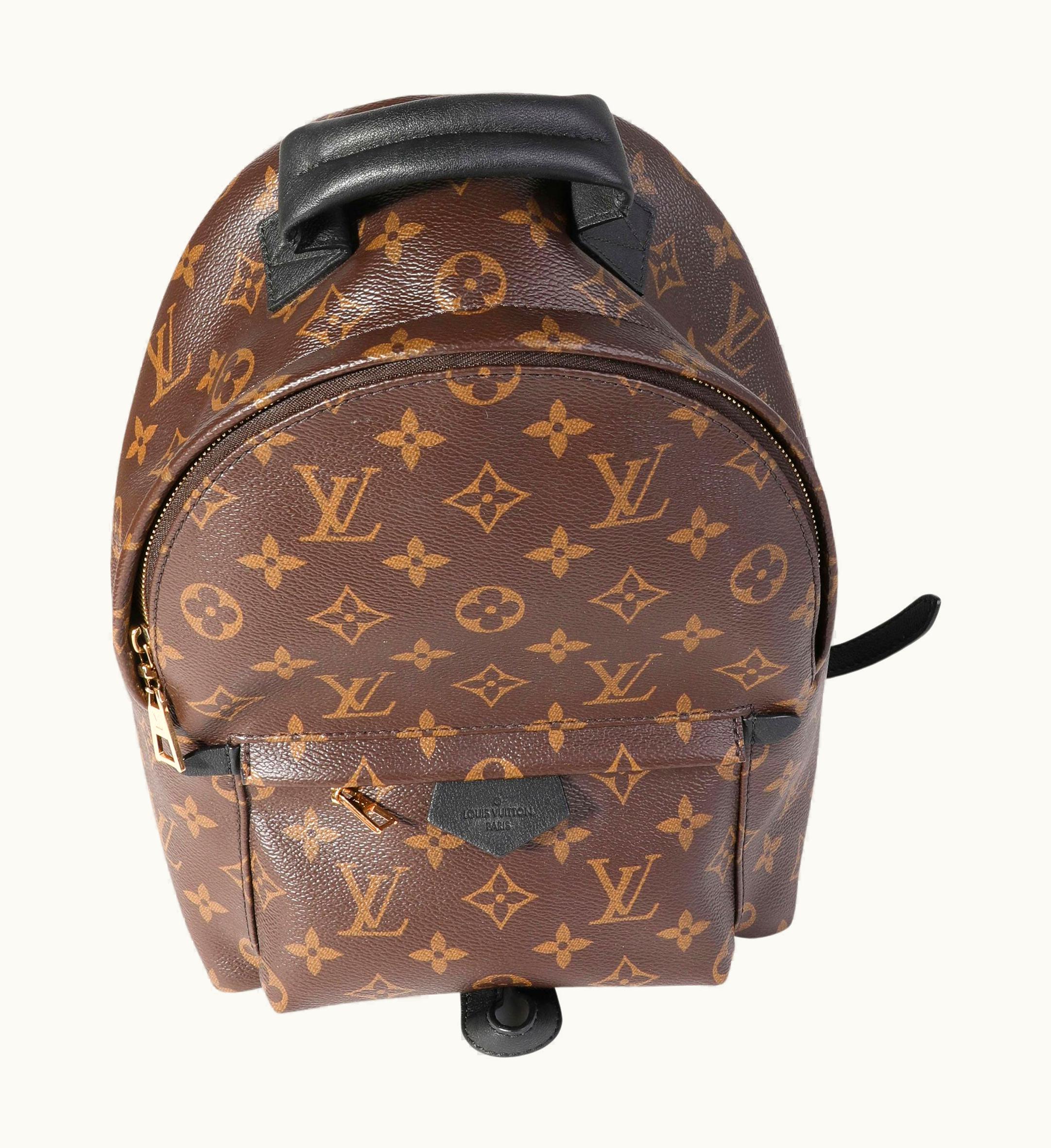 Louis Vuitton Louis Vuitton Monogram Canvas Palm Springs Pm UZ0580617