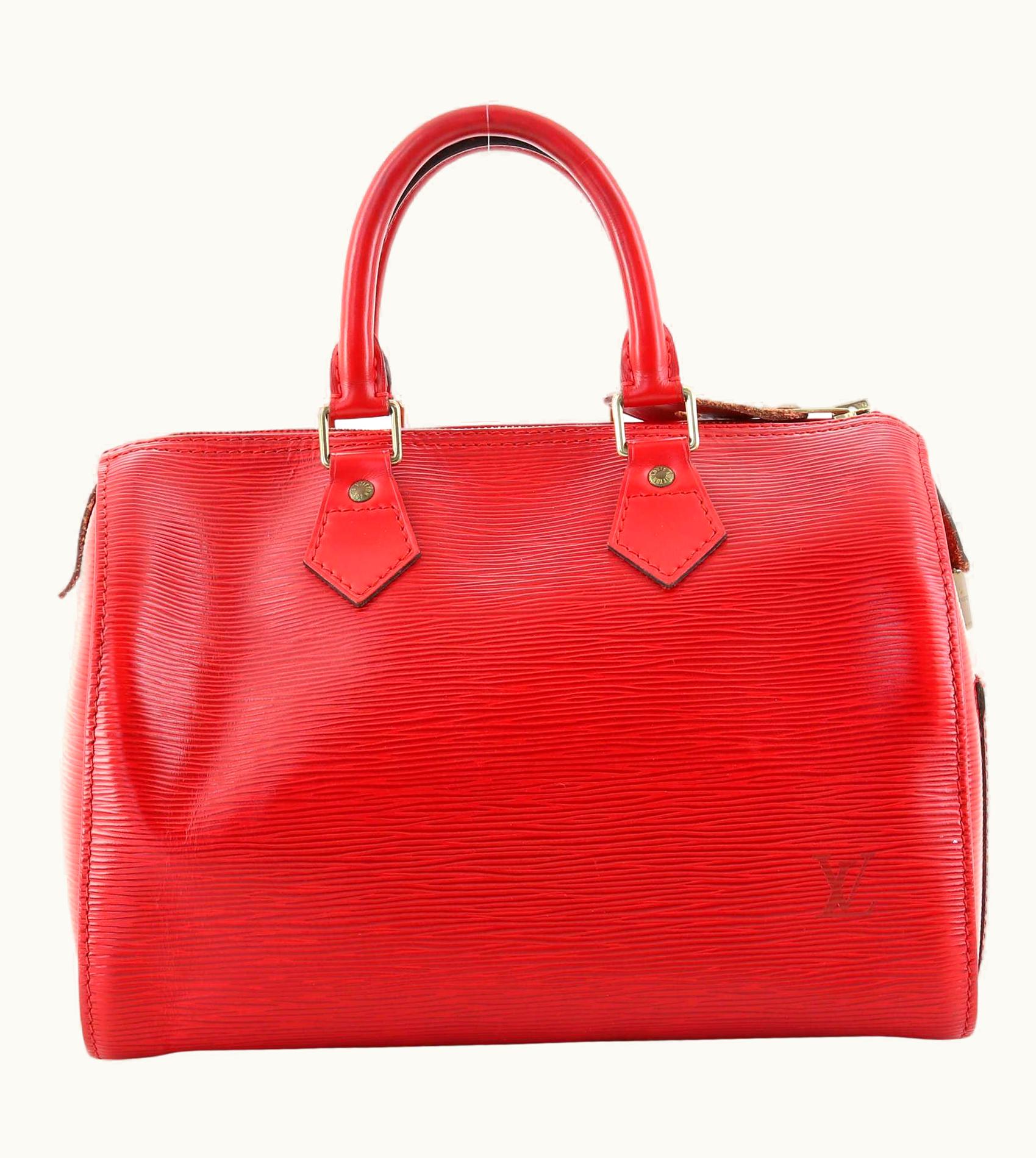 Louis Vuitton Louis Vuitton Speedy Handbag Epi Leather UZ0580869