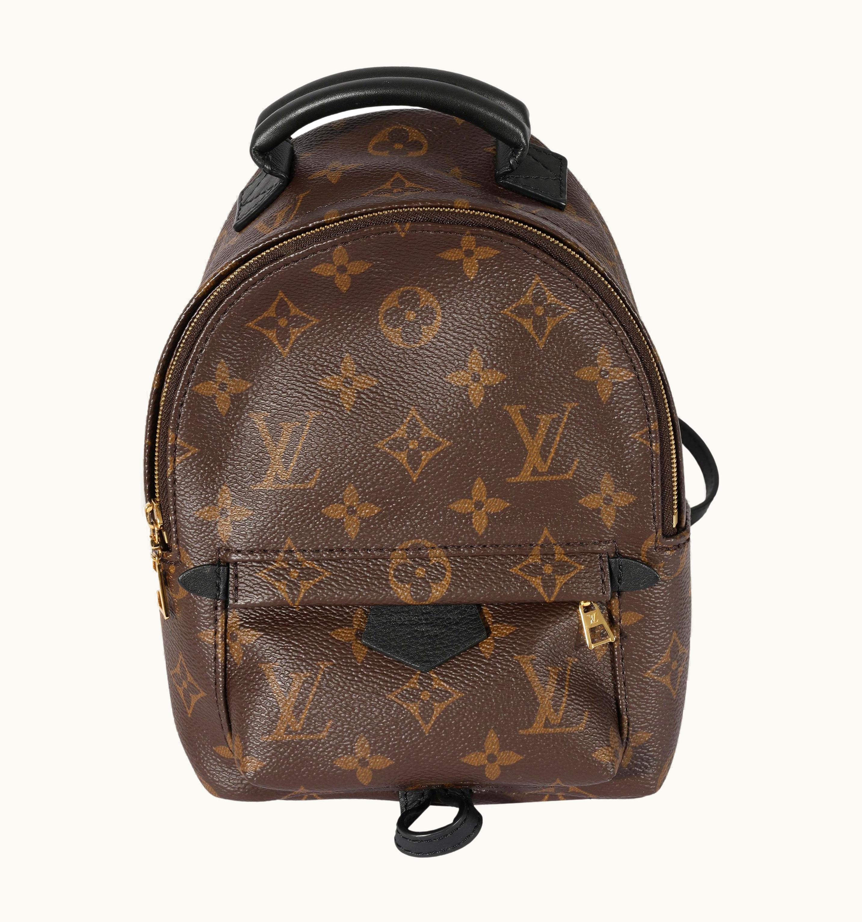 Louis Vuitton Monogram Canvas Palm Springs Mini Backpack