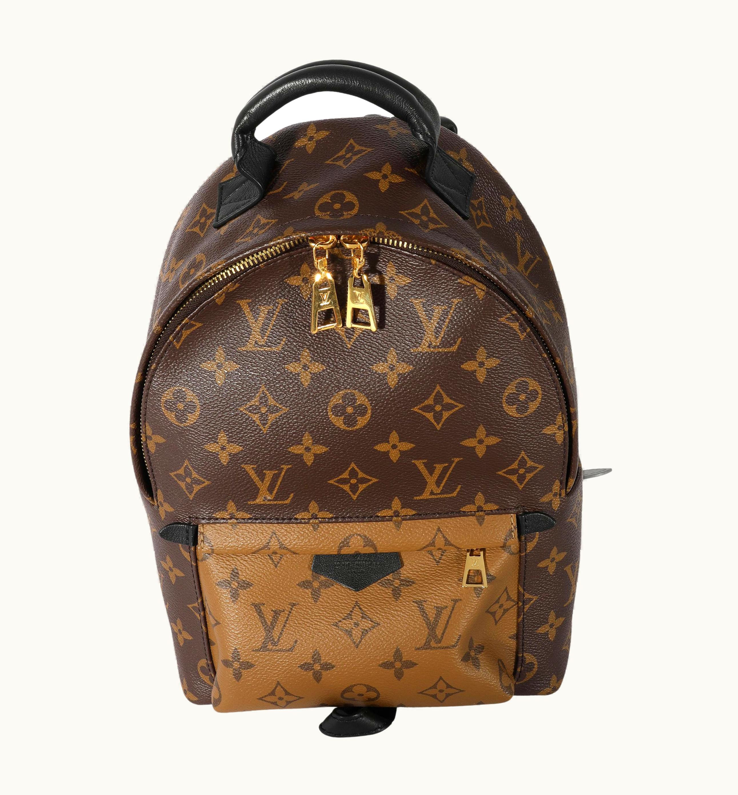 Louis Vuitton Canvas Reverse Monogram Palm Spring Pm