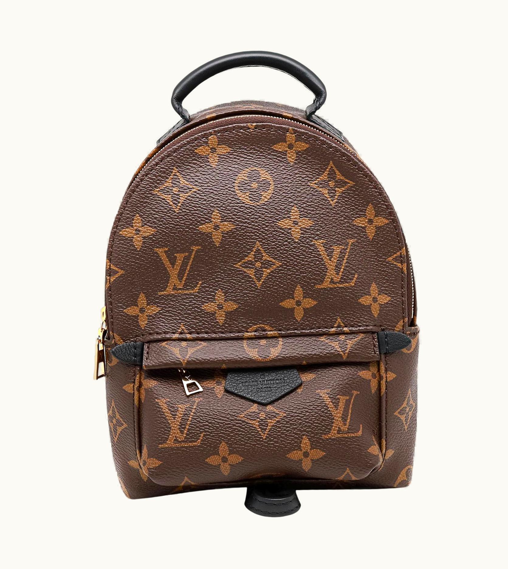Louis Vuitton Monogram Palm Springs Brown Mini Backpack