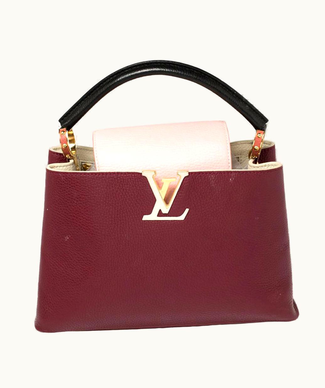 Louis Vuitton Multicolor Taurillon Leather Capucines Pm Bag