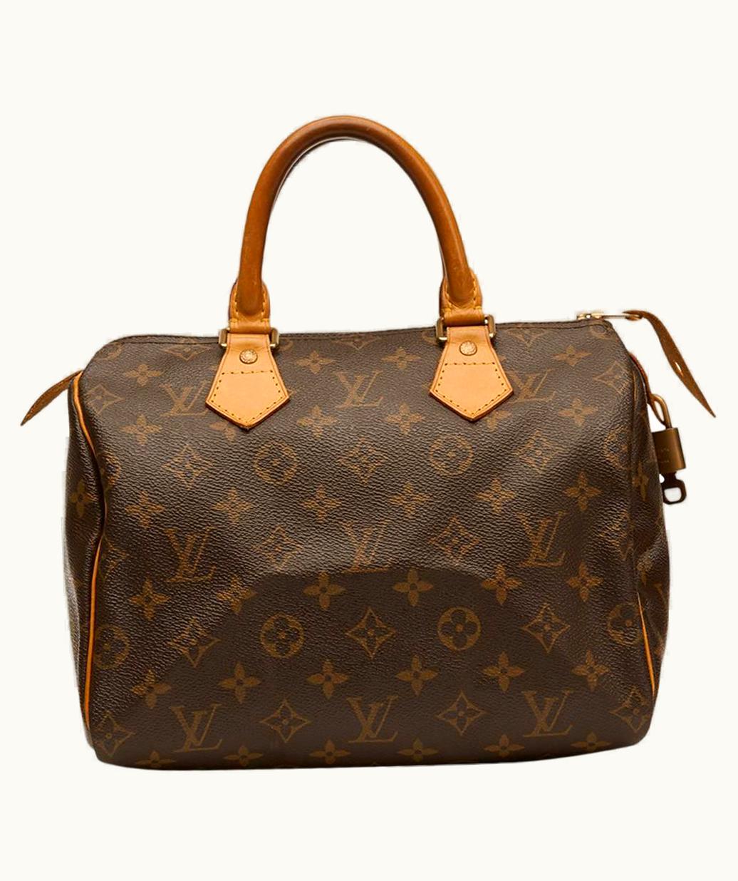 Louis Vuitton 2002 Louis Vuitton Brown Coated Monogram Canvas Speedy
