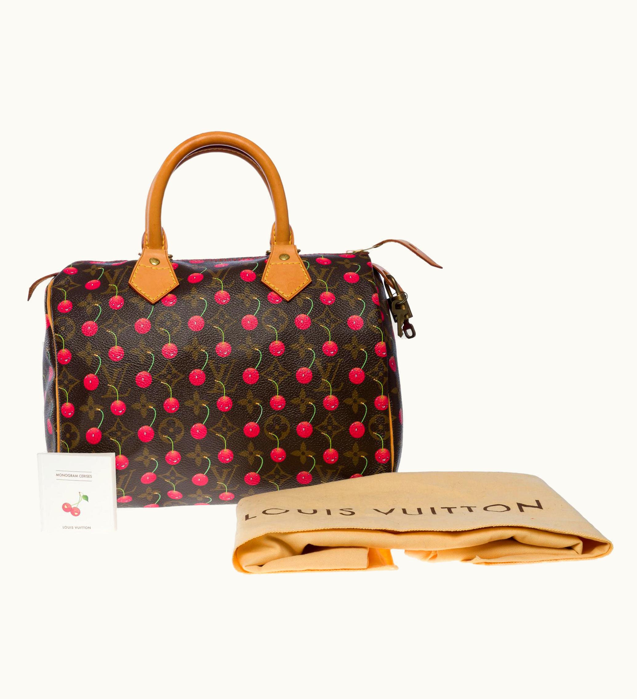 Louis Vuitton Louis Vuitton Speedy 25 Murakami Limited Edition Handbag In Brown Canvas, Ghw