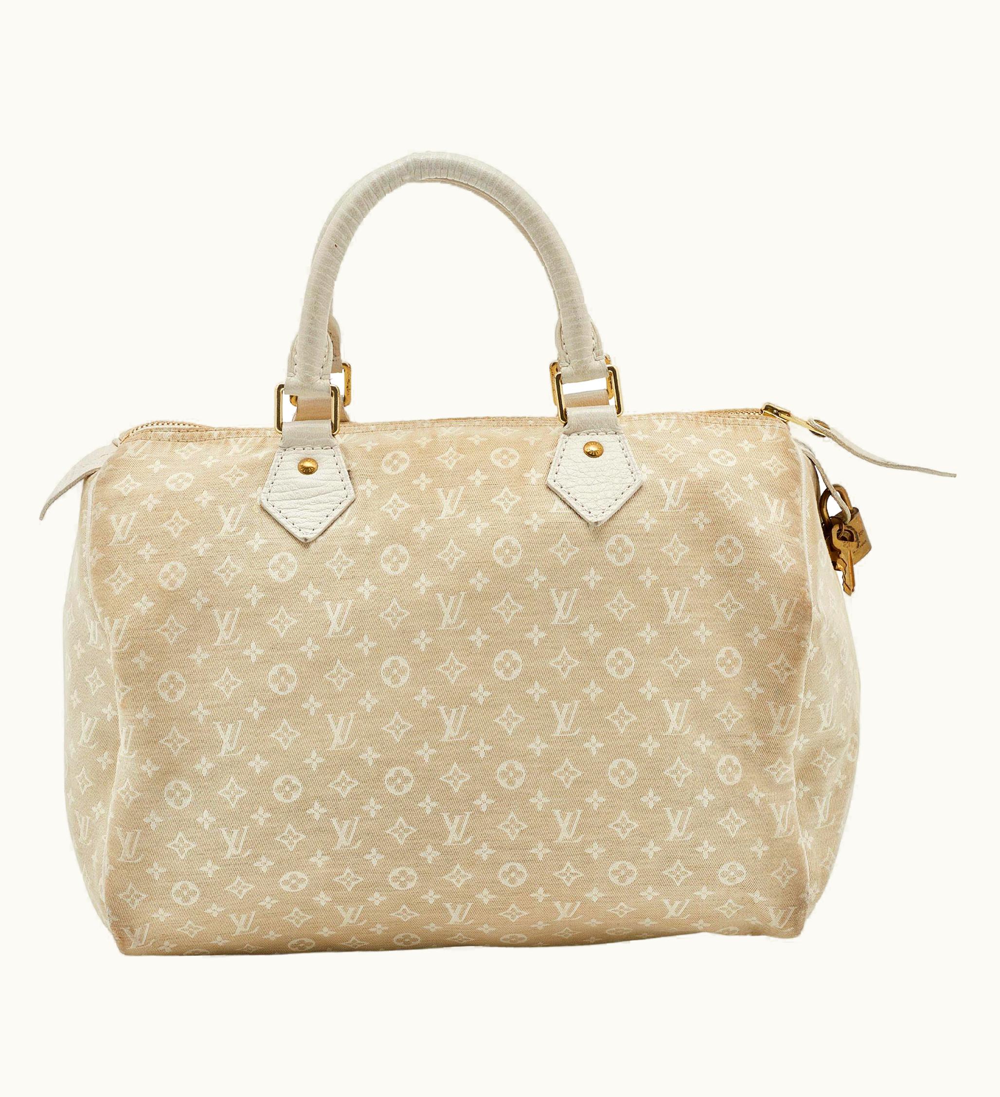 Louis Vuitton Louis Vuitton Dune Monogram Mini Lin Canvas Speedy 30 Bag