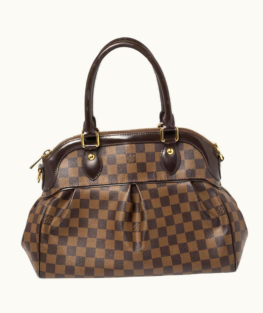 Louis Vuitton Louis Vuitton Damier Ebene Canvas And Leather Trevi Pm Bag
