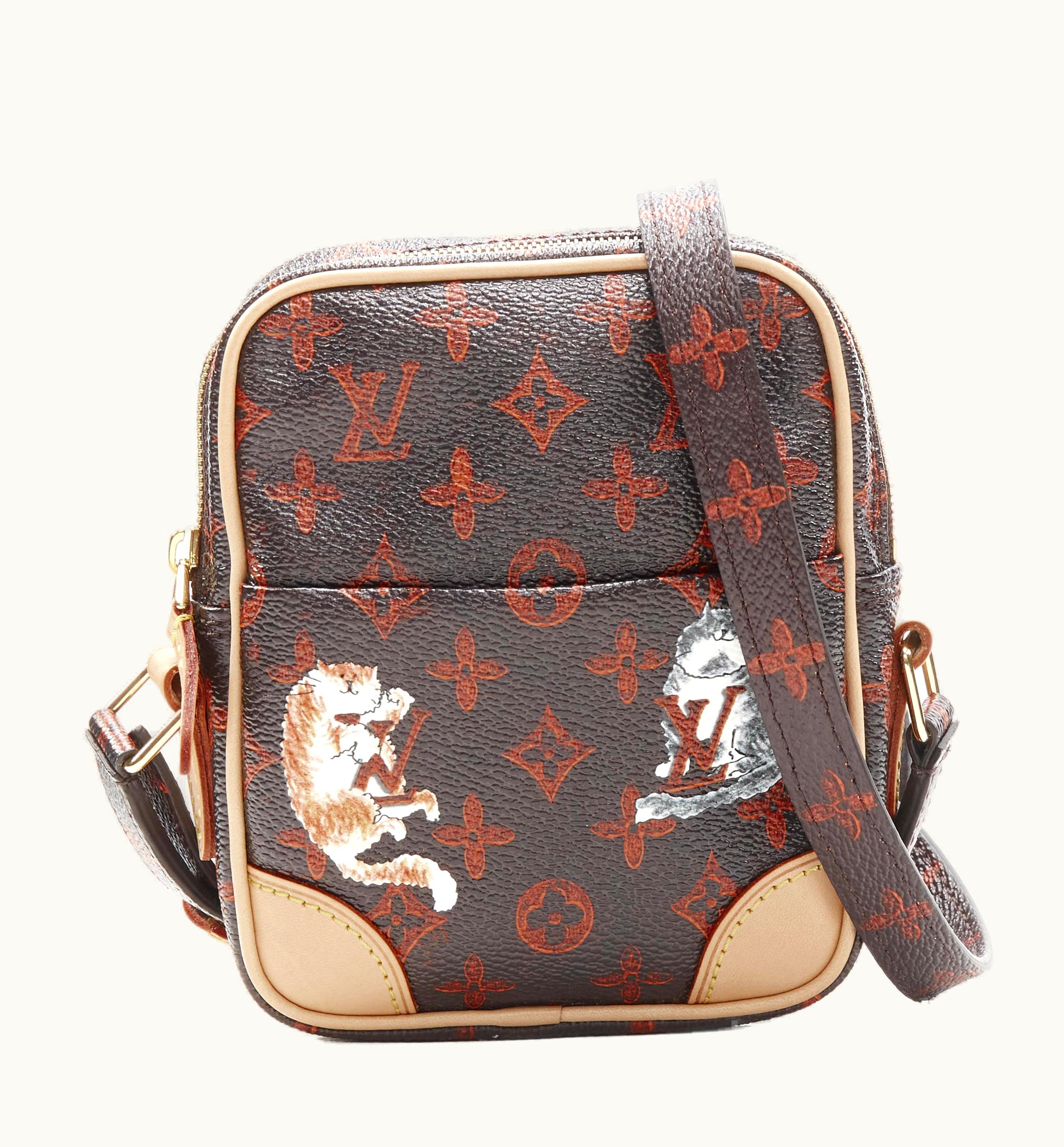 Louis Vuitton Rare Louis Vuitton 2018 Runway Catogram Paname Pm Monogram Crossbody Camera Bag