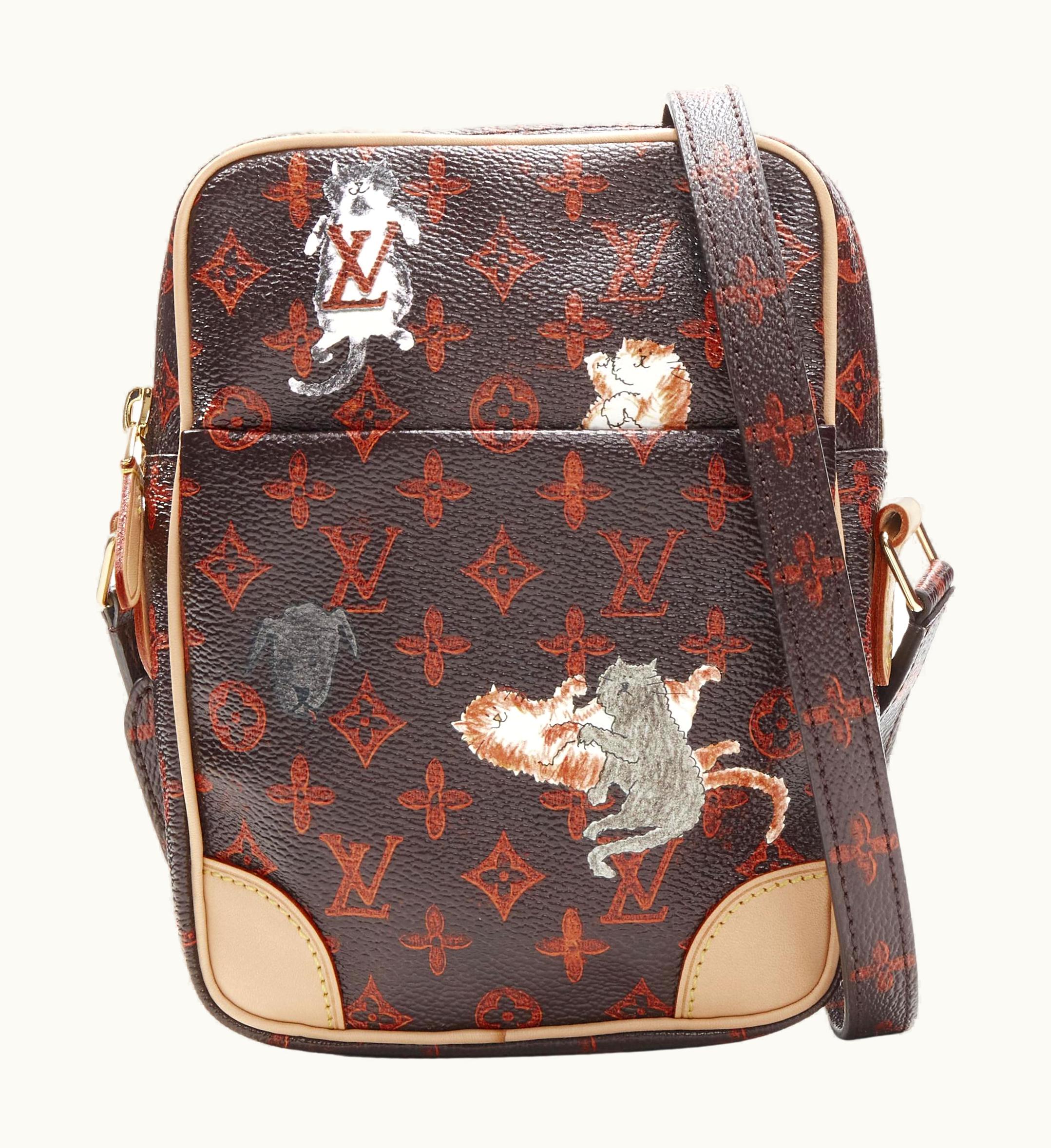 Louis Vuitton Rare Louis Vuitton 2018 Runway Catogram Paname Gm Monogram Crossbody Camera Bag