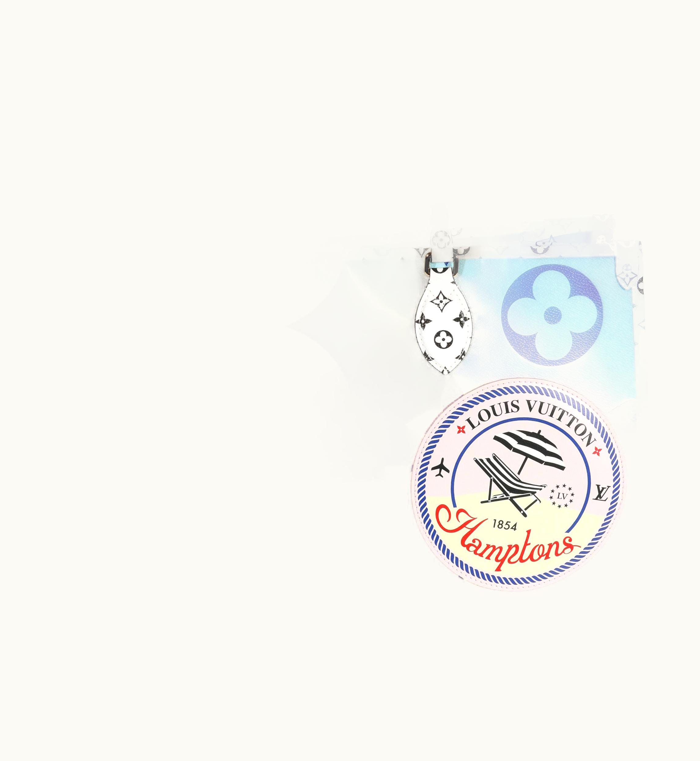 Louis Vuitton Louis Vuitton Limited Edition Blue Monogram Giant Hamptons Onthego