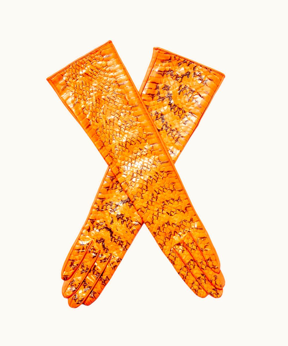 Saint Laurent YSL Python And Leather Gloves