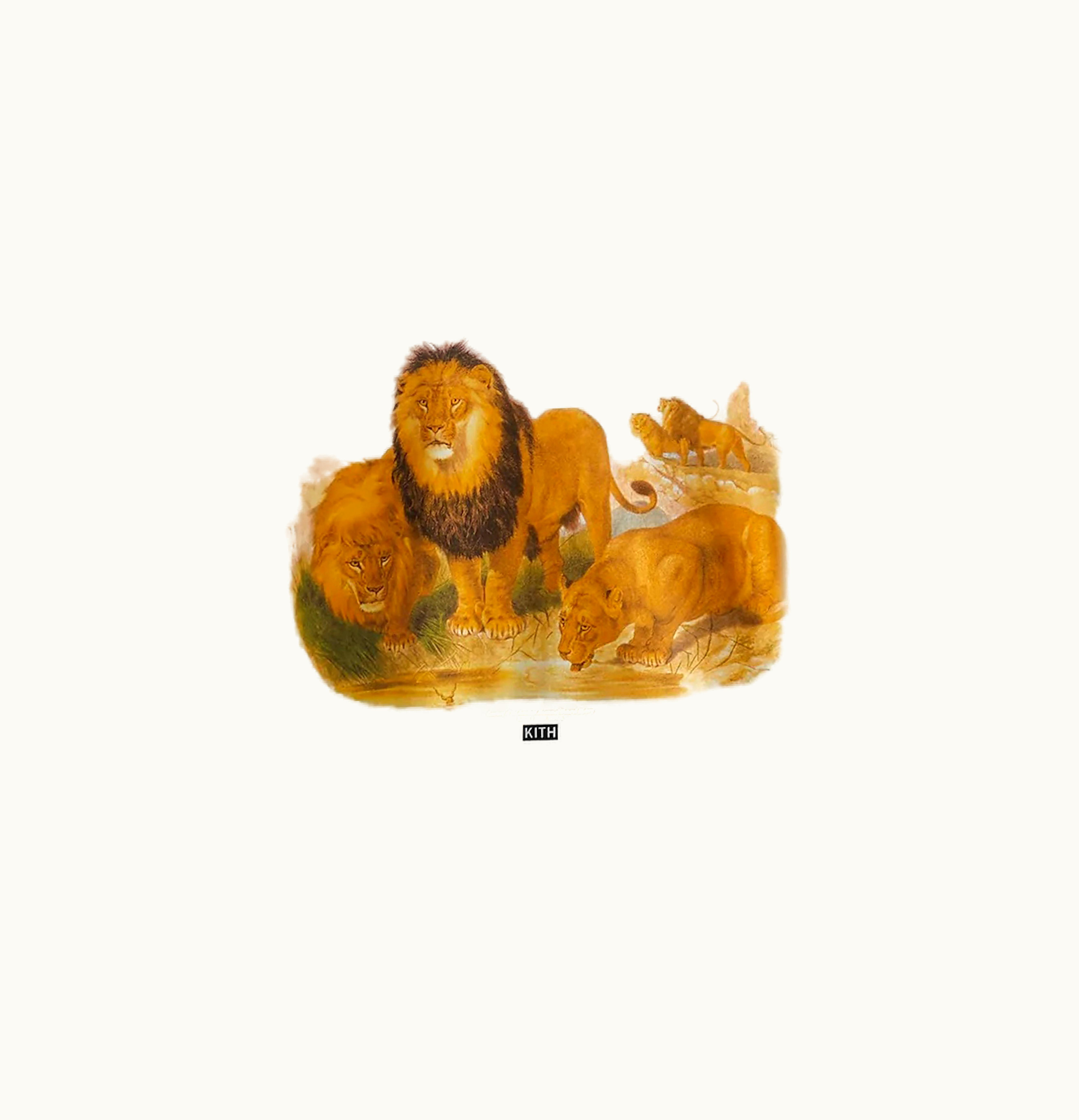 Kith Kith AMNH Lion Vintage Tee White