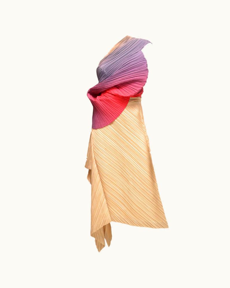 Issey Miyake Issey Miyake 1989 Spring Summer Pleats Please Ensemble