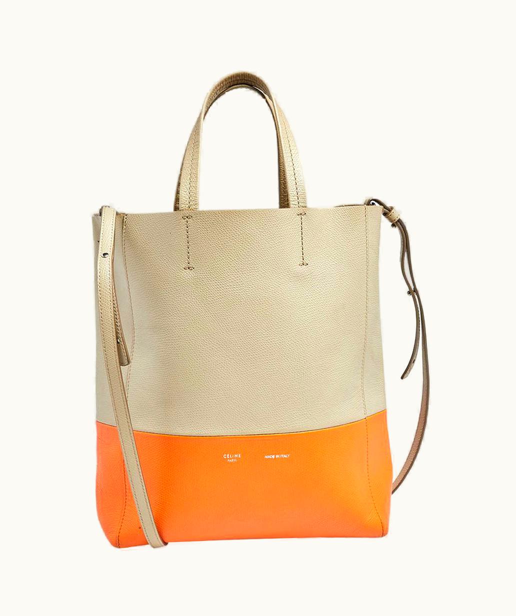 Celine Celine Multicolor Grained Leather Small Vertical Cabas Tote UZ0600303