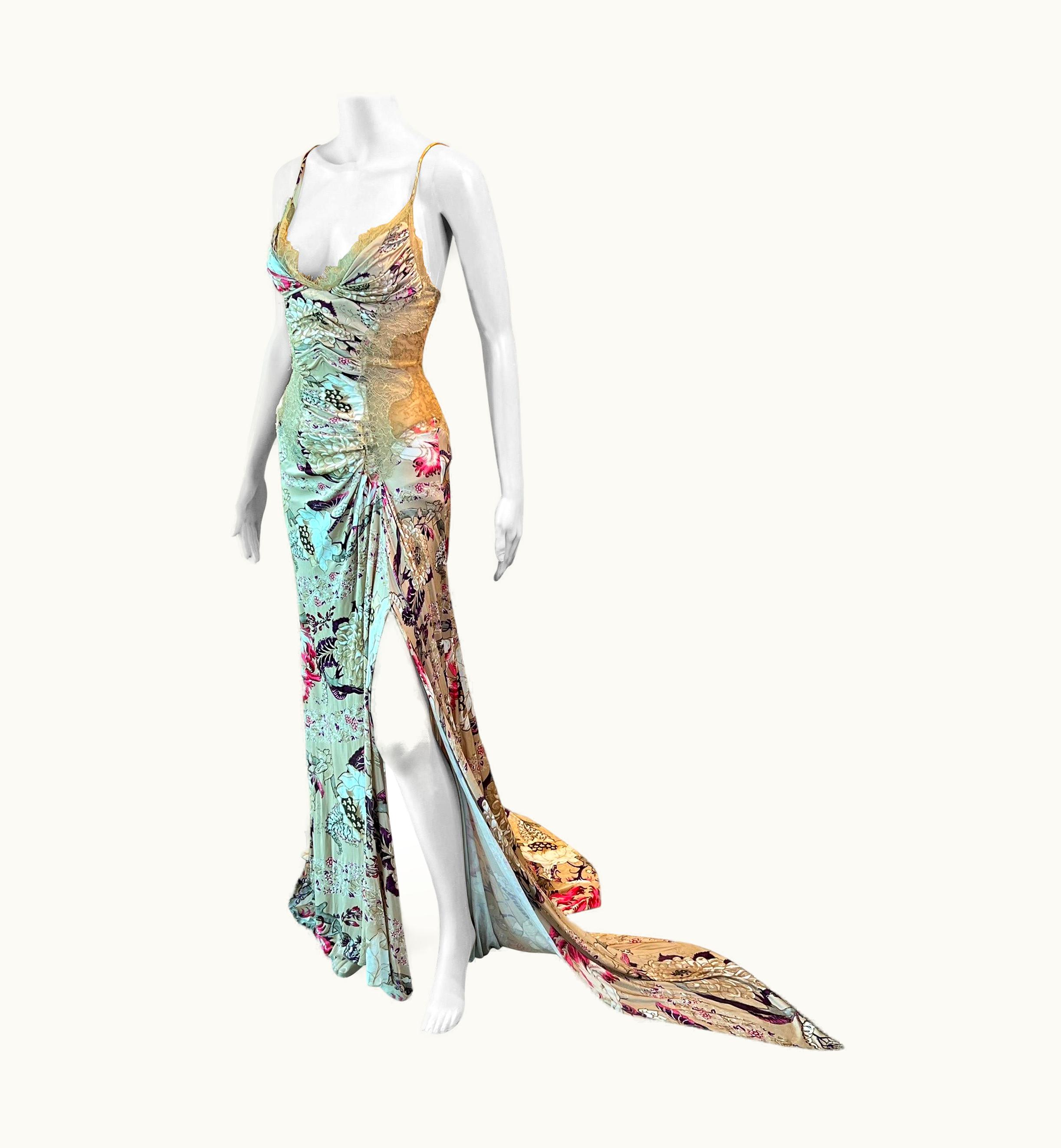 Roberto Cavalli Roberto Cavalli AW 2006 Bustier Sheer Lace Panels Floral Print Evening Gown