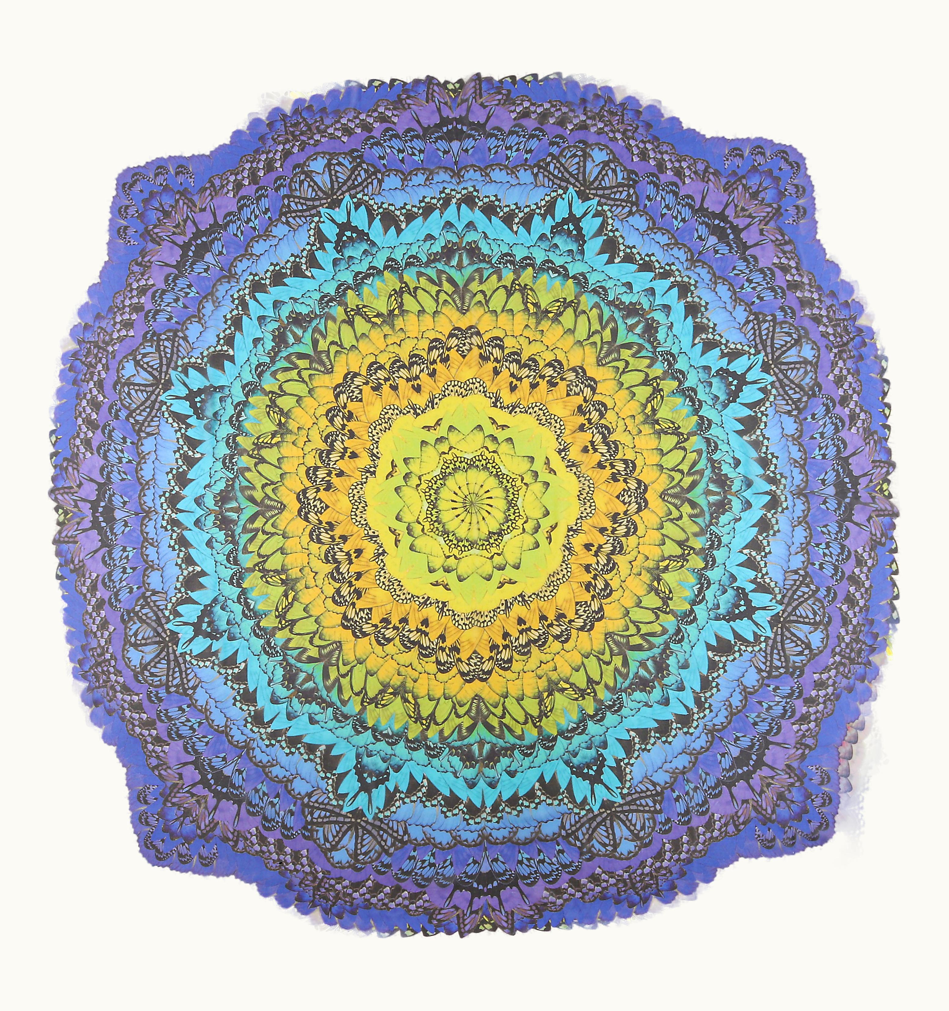 Alexander McQueen Alexander McQUEEN S/S 2008 Rainbow Wings Kaleidoscope Blue Yellow Square Scarf