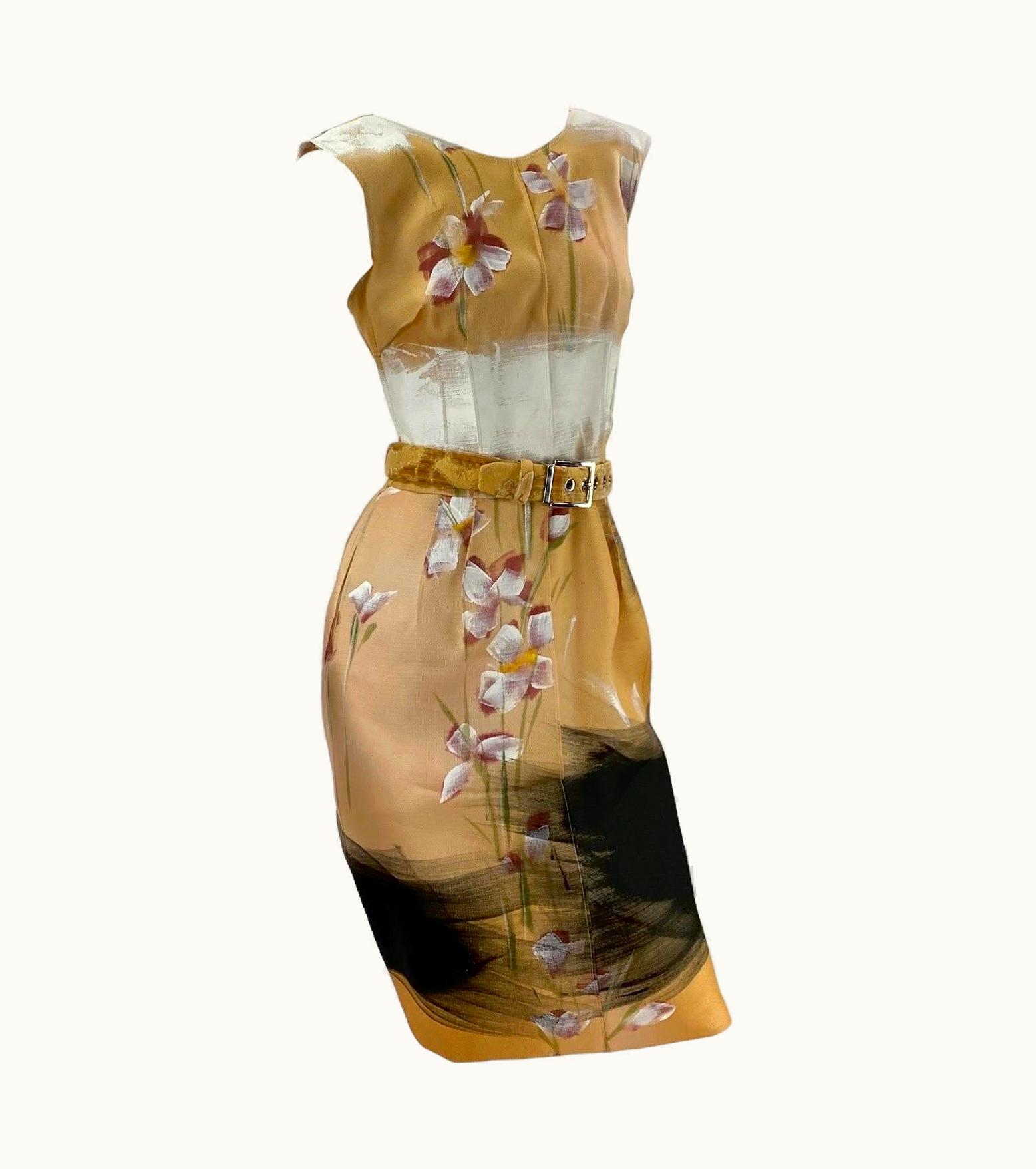 Dolce & Gabbana 2008 Dolce & Gabbana Hand Painted Limited Edition 46/150 Runway Dress Italian