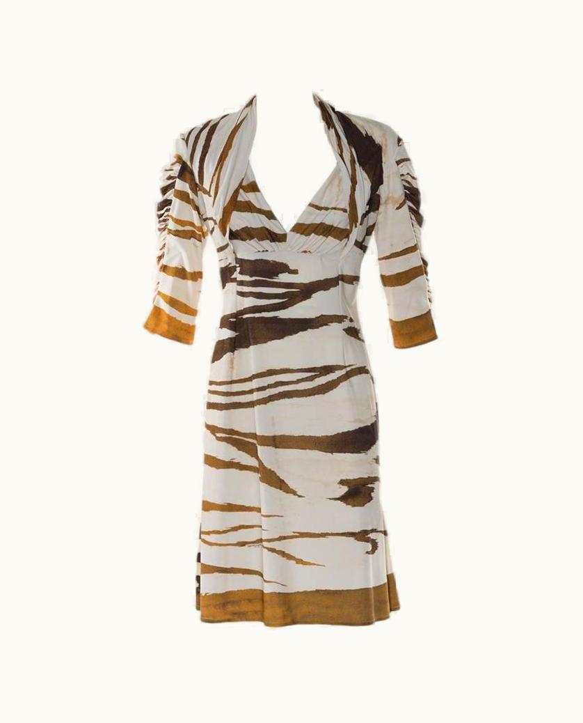 Roberto Cavalli Roberto Cavalli Zebrine Dress
