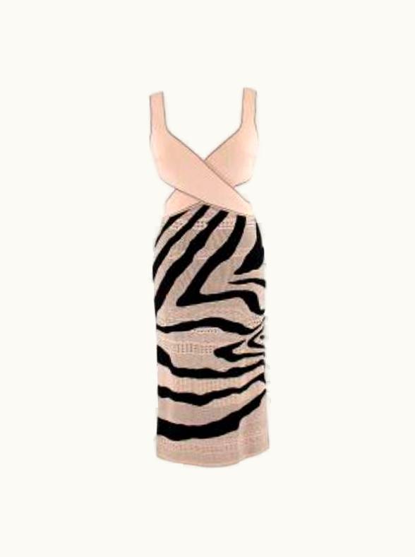 Roberto Cavalli Roberto Cavalli Zebra Print Pink And Black Knit Dress