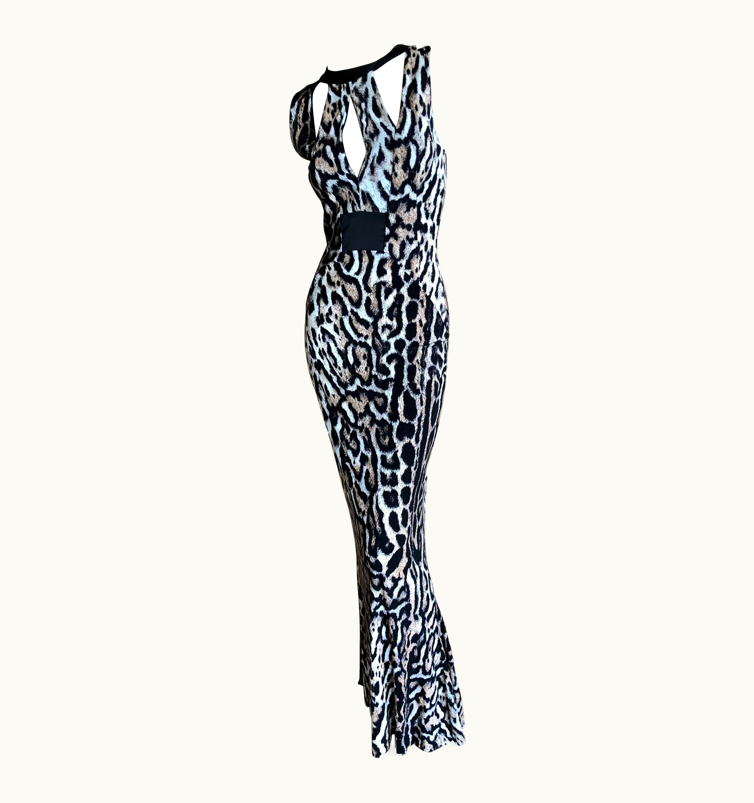 Roberto Cavalli Roberto Cavalli Long Leopard Dress With Cut Outs For Just Cavalli