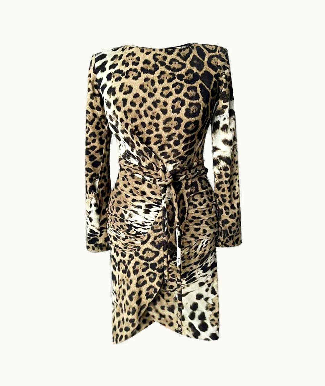 Roberto Cavalli Roberto Cavalli Silk Animal Print Dress