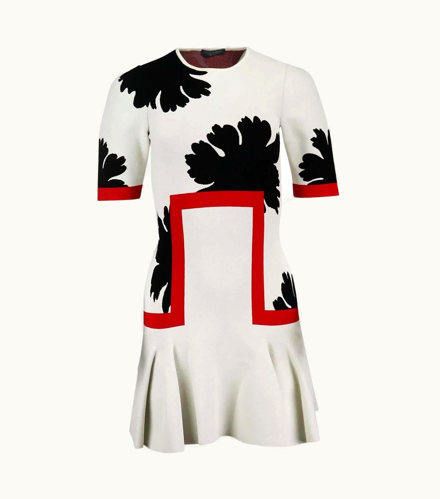 Alexander McQueen Alexander Mcqueen Jacquard Knit Mini Dress Xsmall