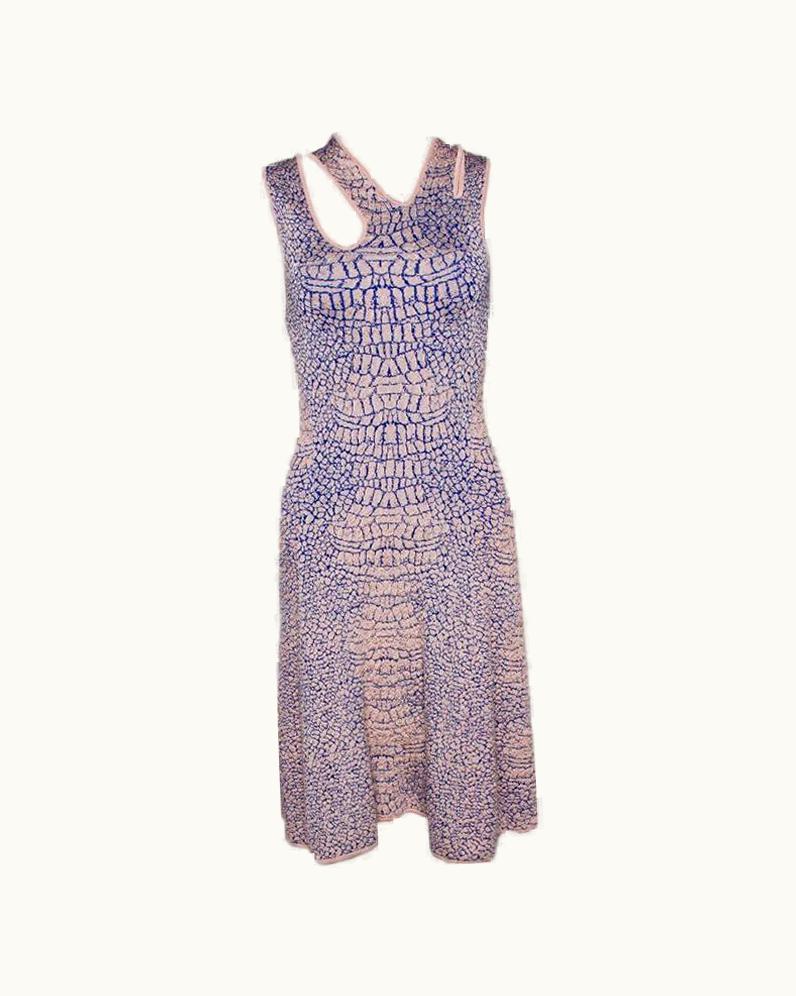 Alexander McQueen McQ By Alexander McQueen Pink And Blue Crocodile Patterned Jacquard Fit And Flar