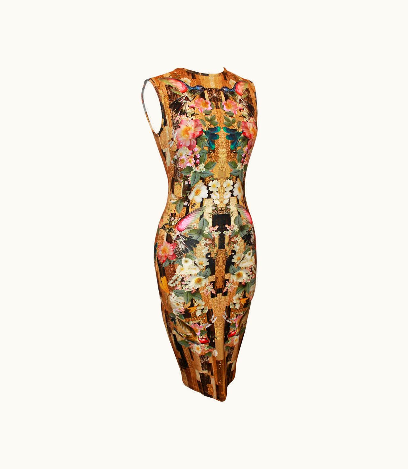 Alexander McQueen Alexander McQueen 2013 Resort Hummingbird & Floral Print Fitted Dress