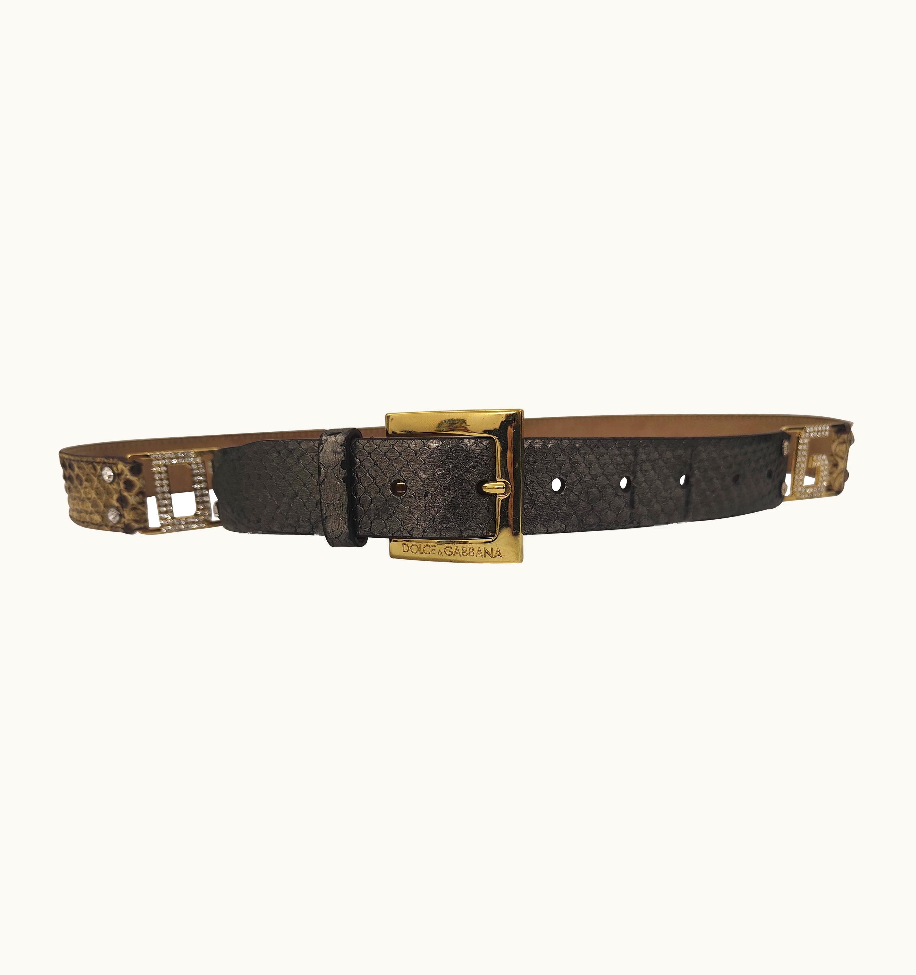 Dolce & Gabbana Dolce & Gabbana Multicoloured Belt With Swarovski Stones