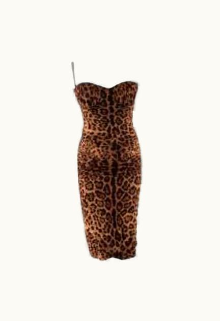Dolce & Gabbana Dolce & Gabbana Leopard Print Ruched Fitted Dress UZ0608315