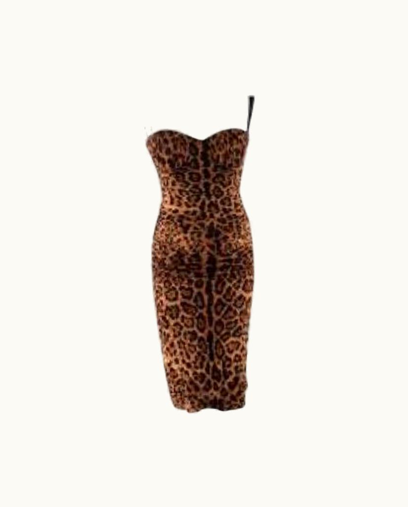 Dolce & Gabbana Dolce & Gabbana Leopard Print Ruched Fitted Dress UZ0608398