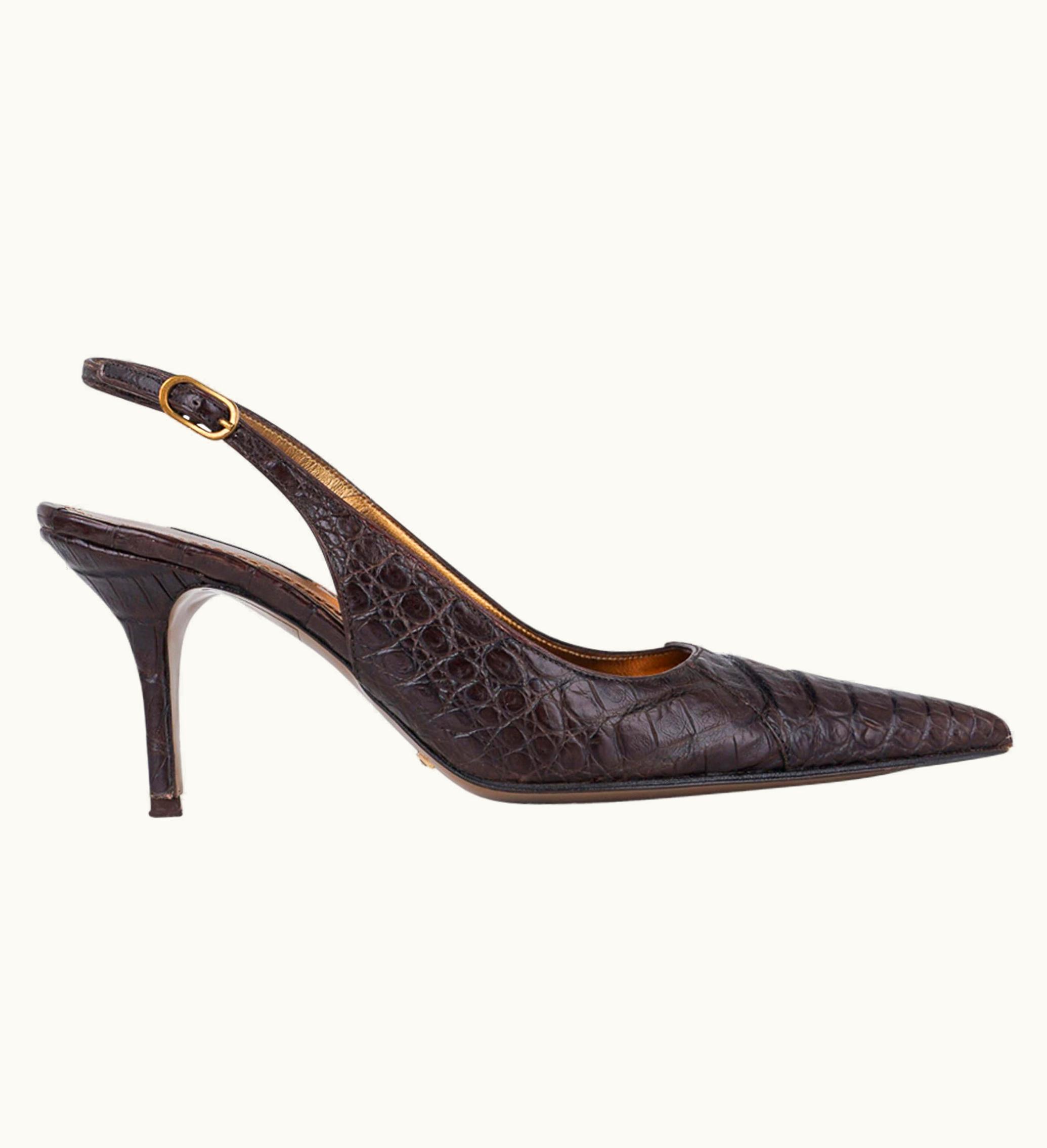 Dolce & Gabbana Dolce&Gabbana Shoe Signature Slingback Brown Crocodile 40 S/S 10 Fits