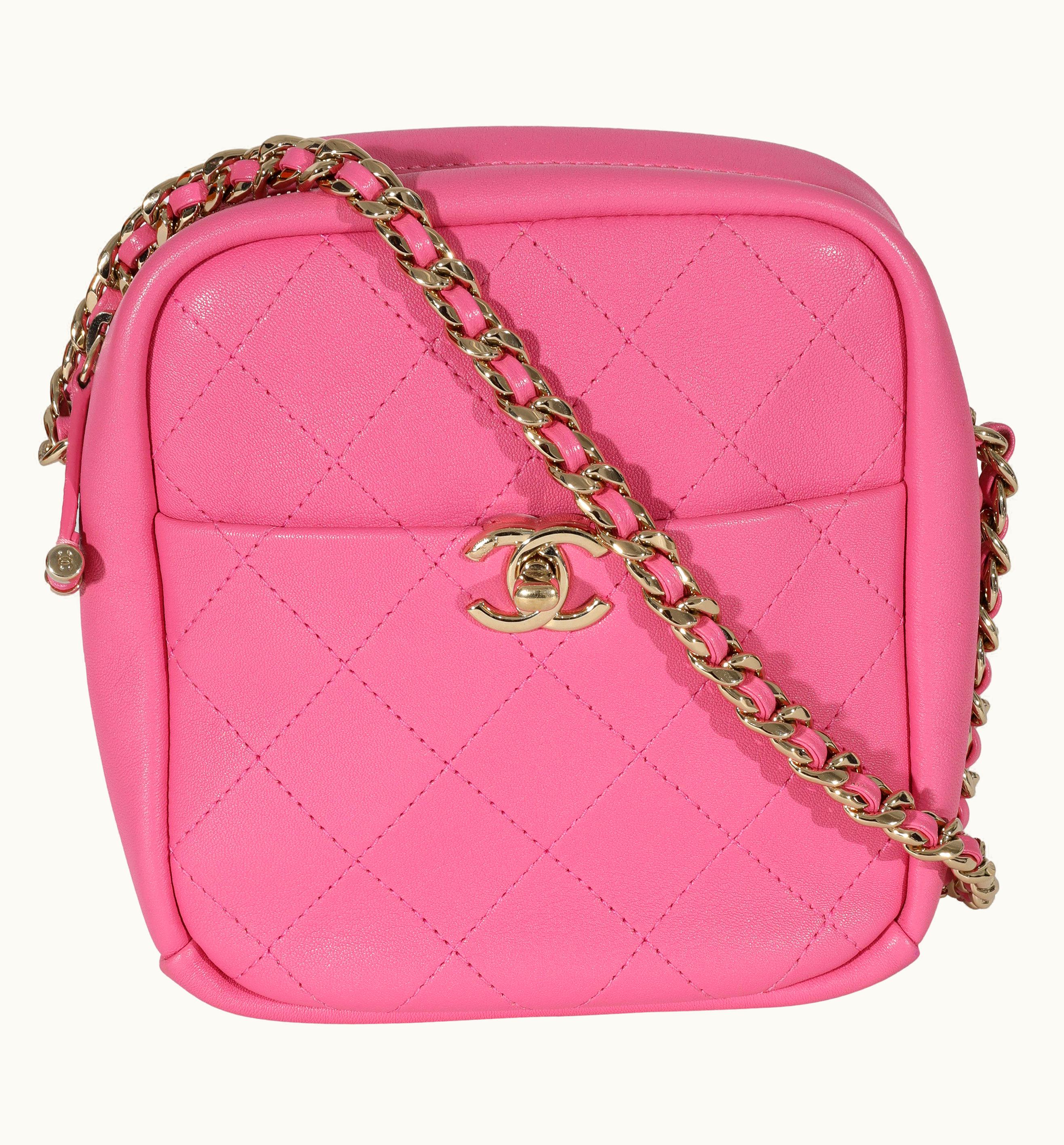 Chanel Chanel Pink Goatskin Casual Trip North South Camera Case