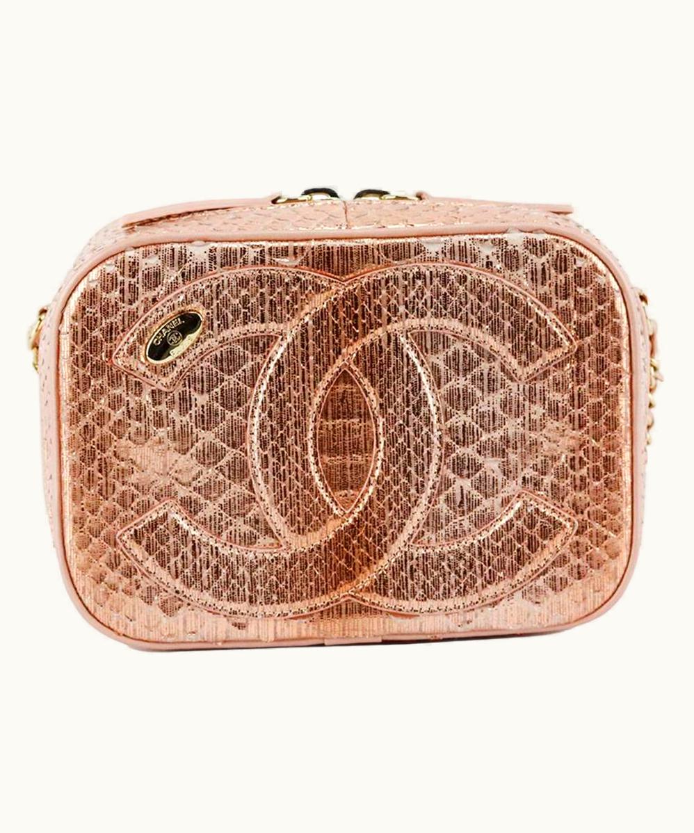 Chanel Chanel 2019 Mania Camera Case Metallic Python And Leather Shoulder Bag UZ0614156